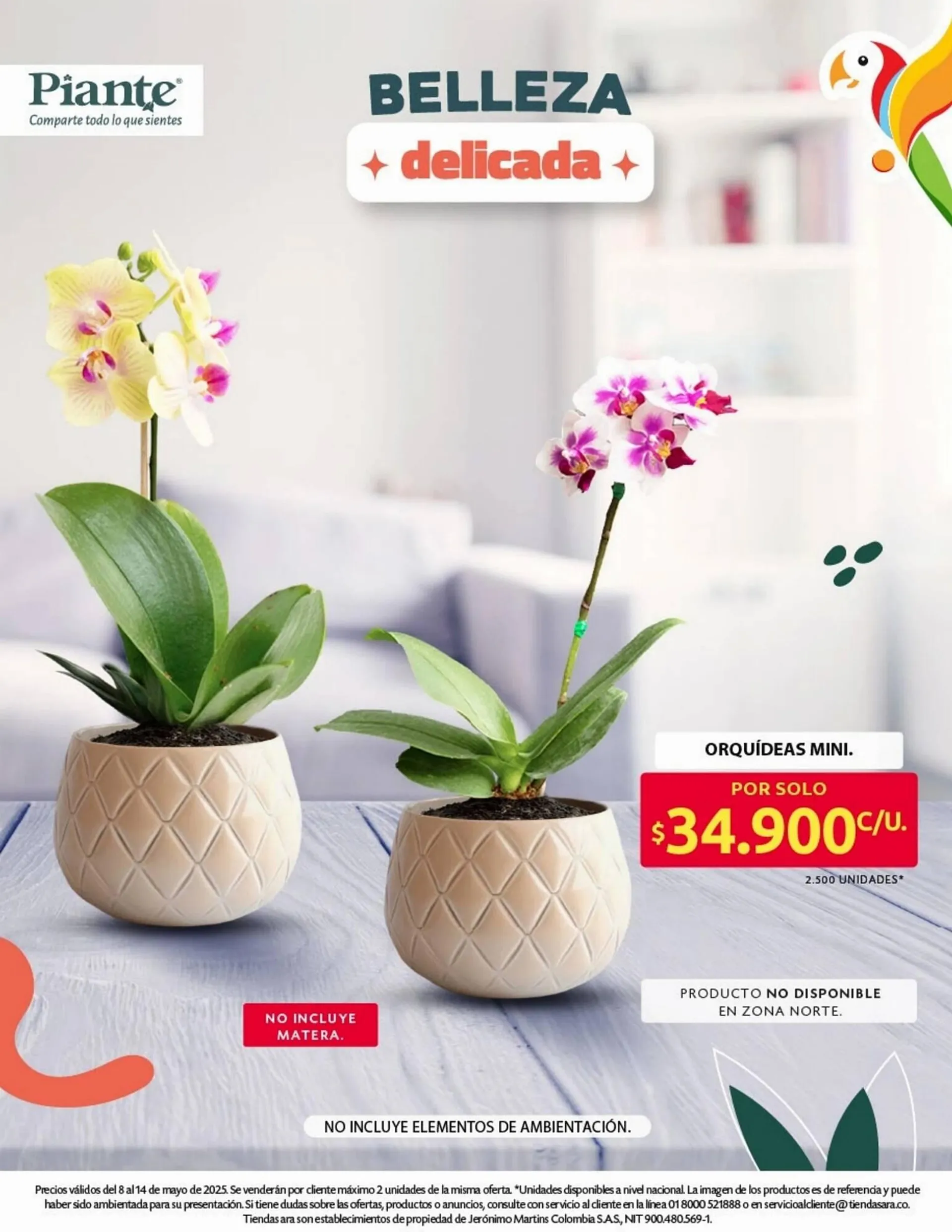 Catalogo de Catálogo Ara 8 de mayo al 15 de mayo 2025 - Pag 25