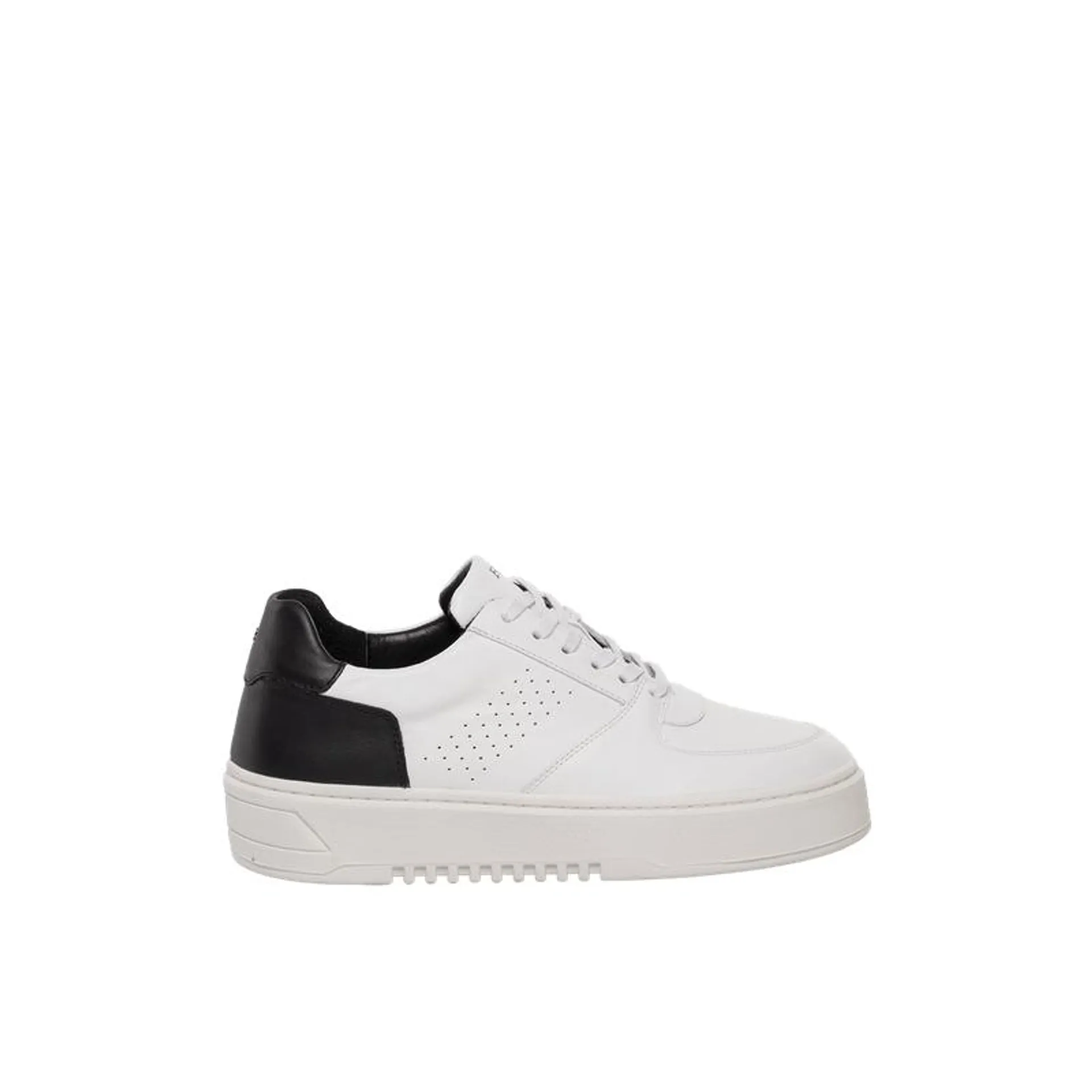 TENIS PARA HOMBRE WARREN