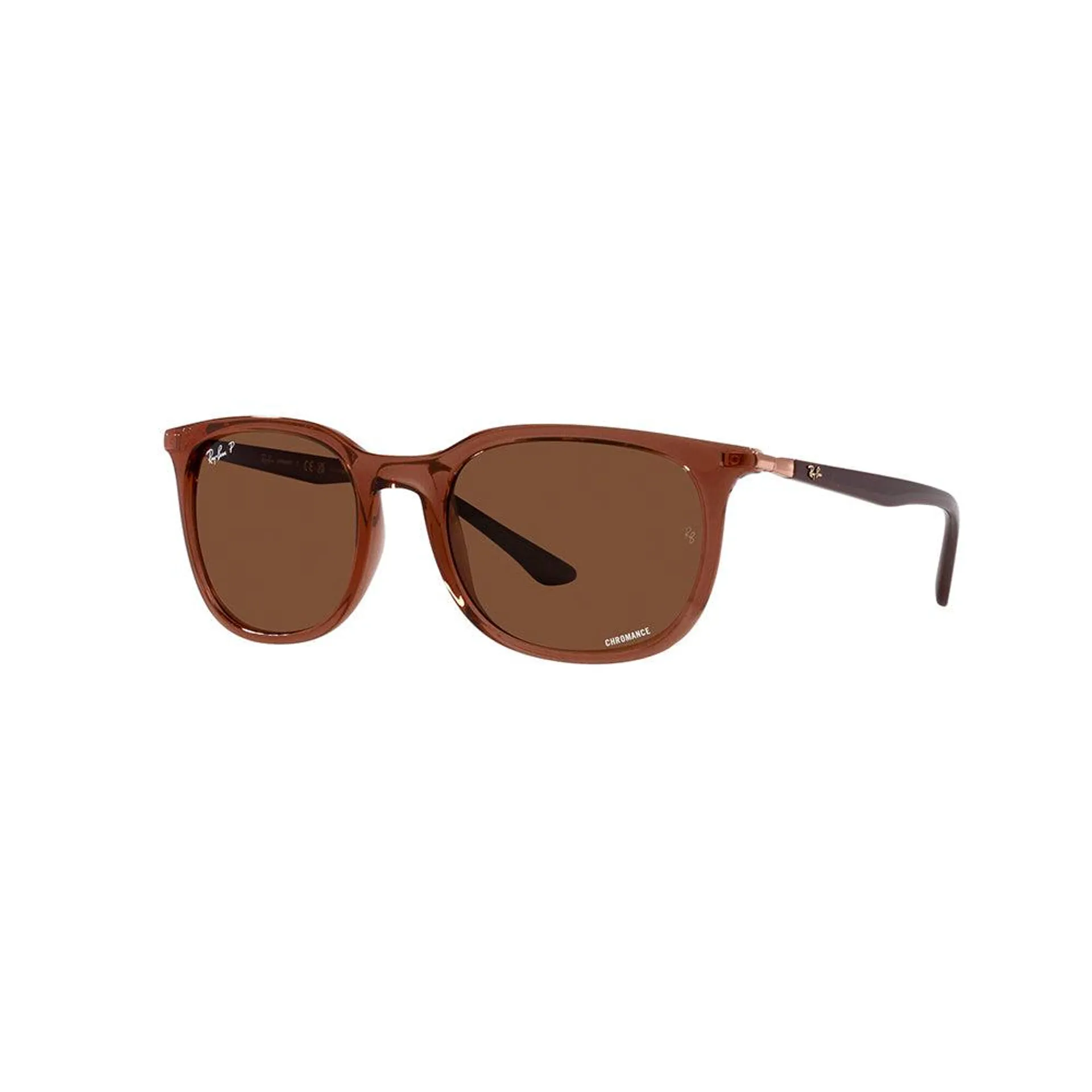 Ray-Ban 4386 6652AN