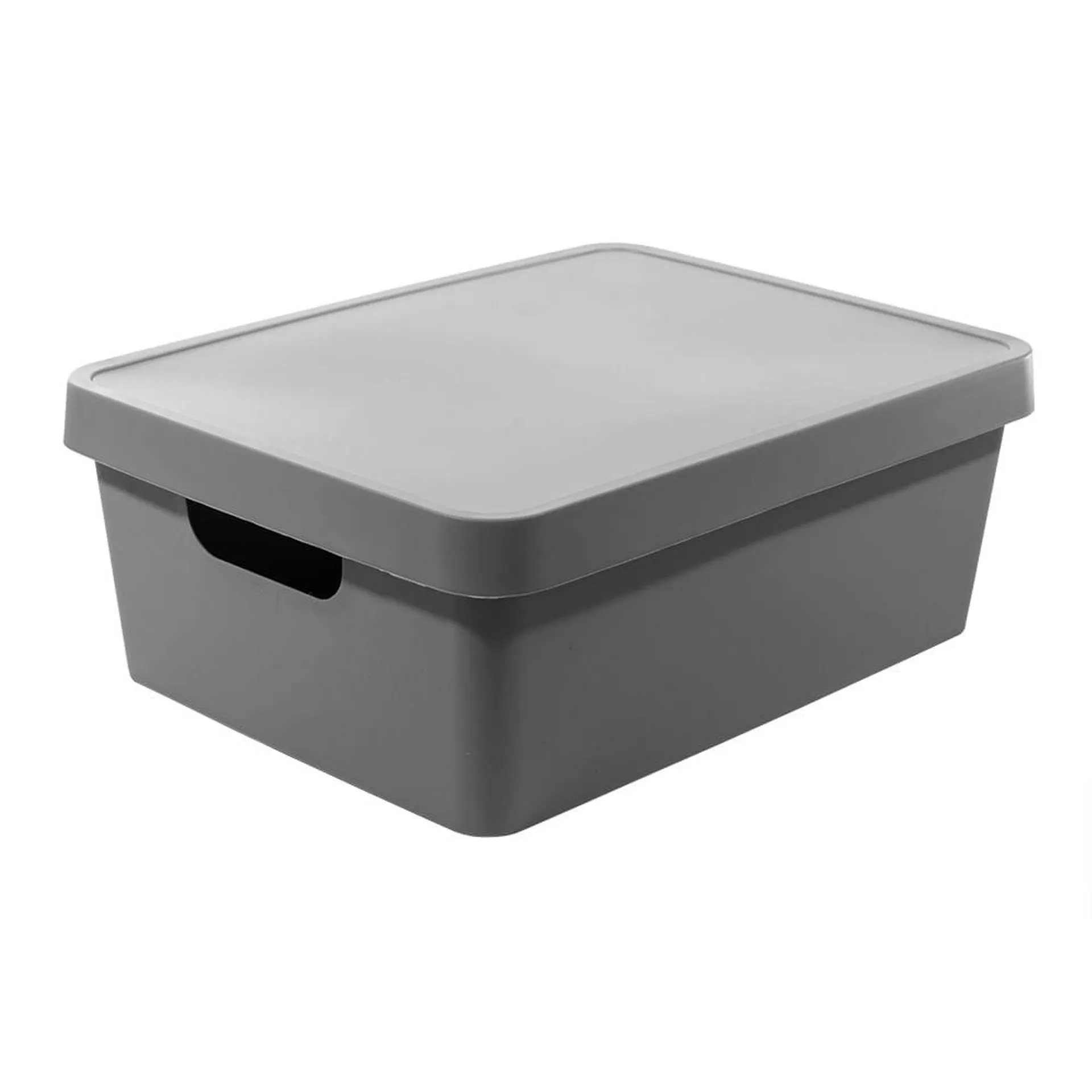 Caja Organizadora Con Tapa 11 Lt