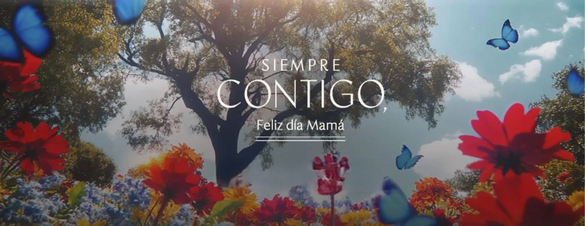 Catalogo de Catálogo Mario Hernández 7 de mayo al 12 de mayo 2025 - Pag 1