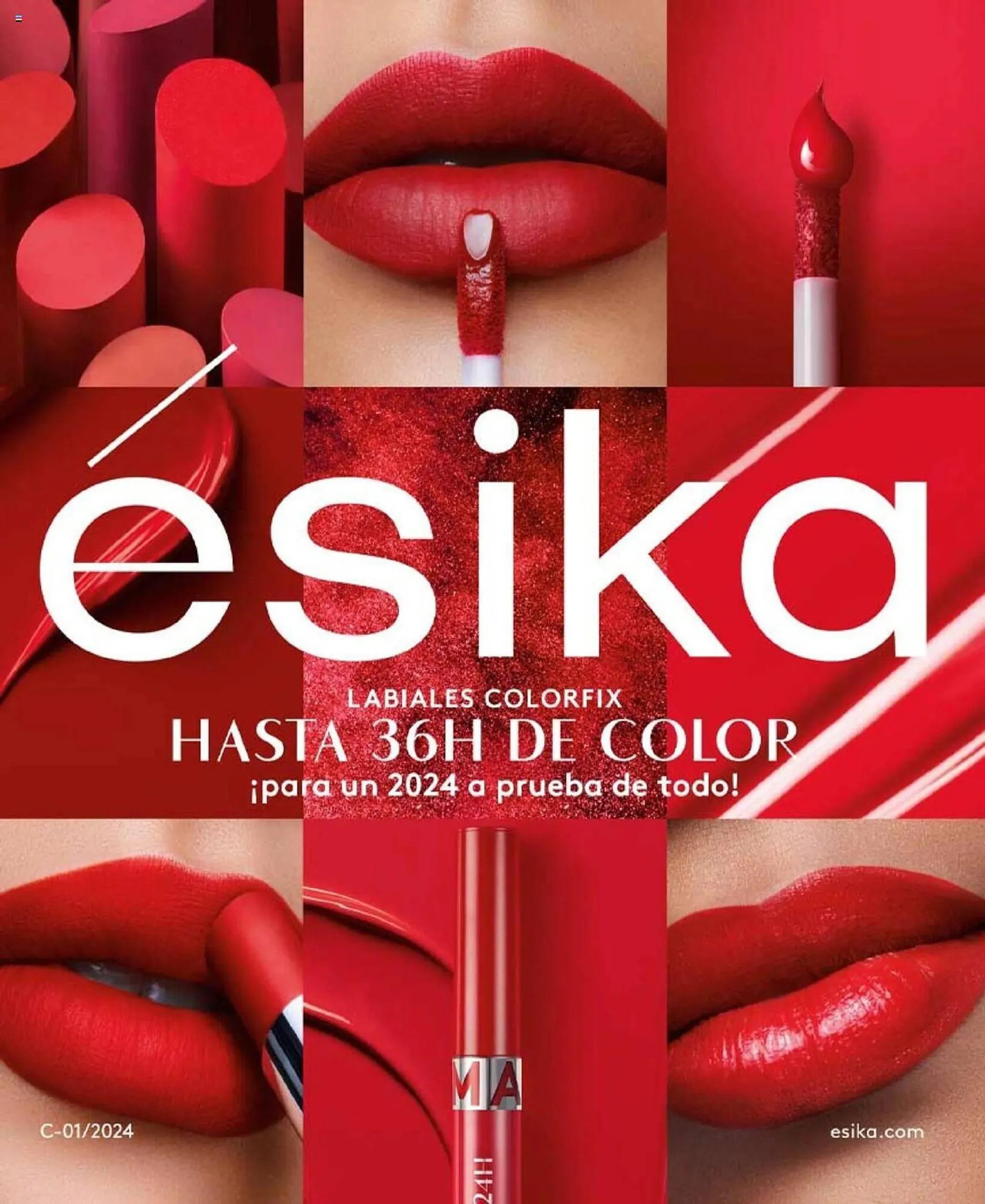Catálogo Ésika