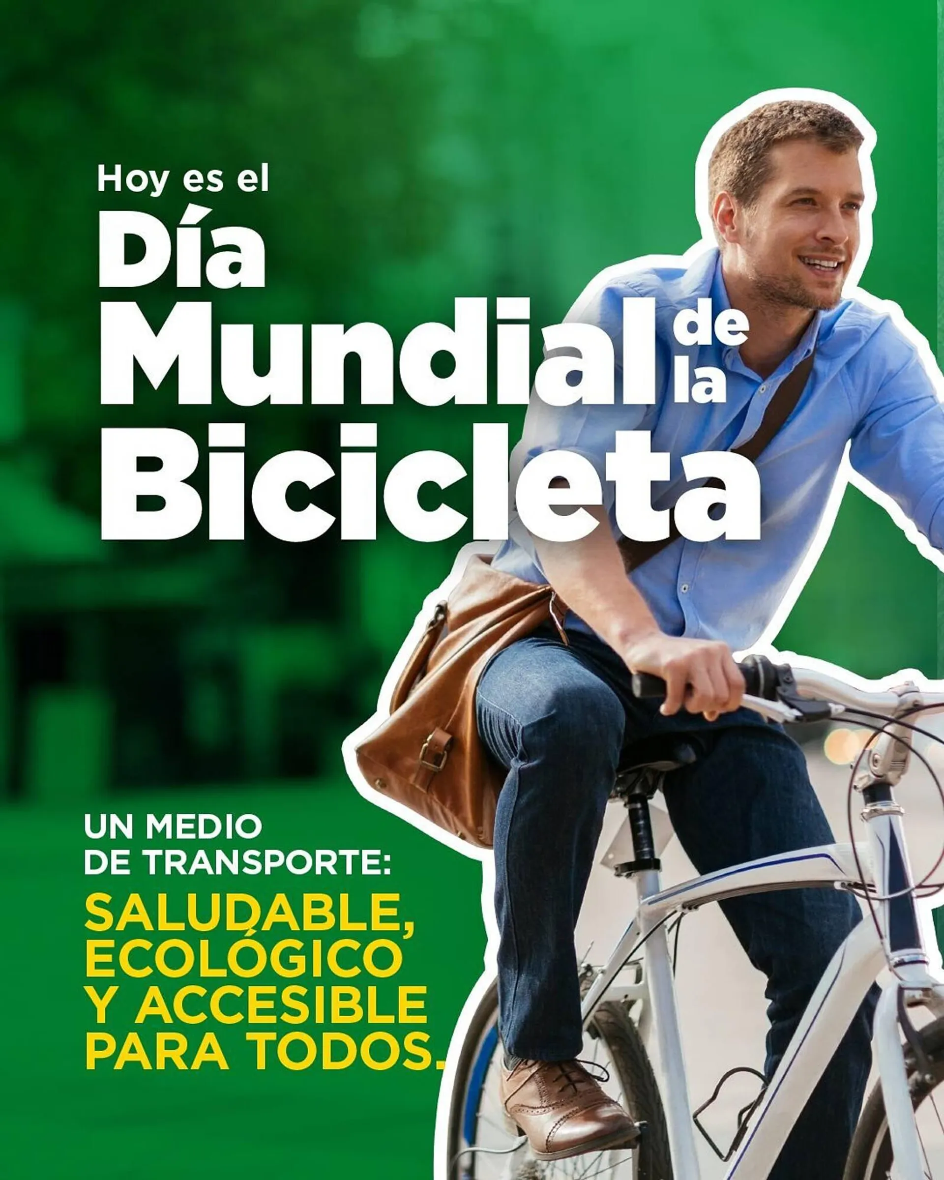 Catálogo Cruz verde - 1