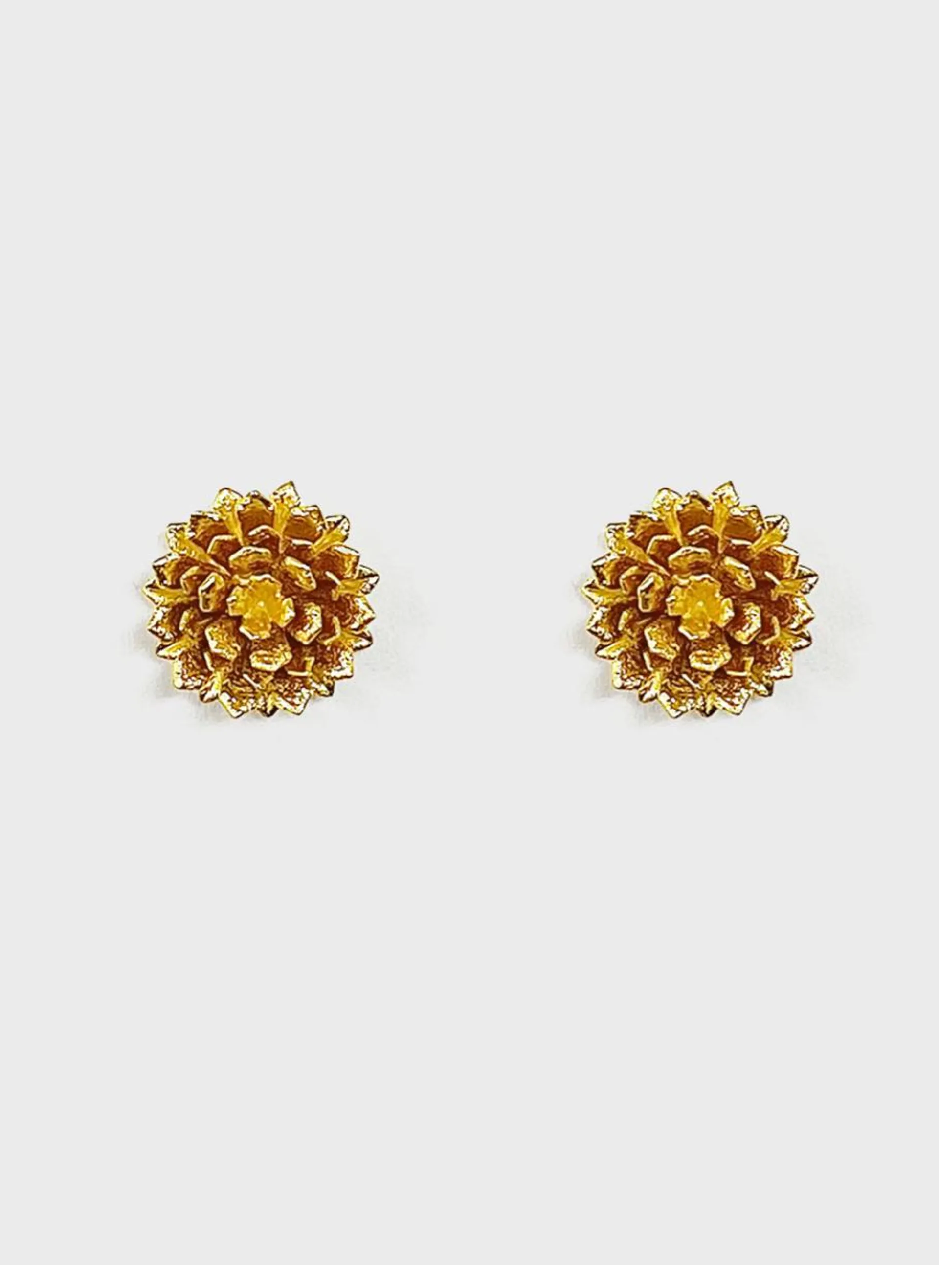 Aretes topos frailejón