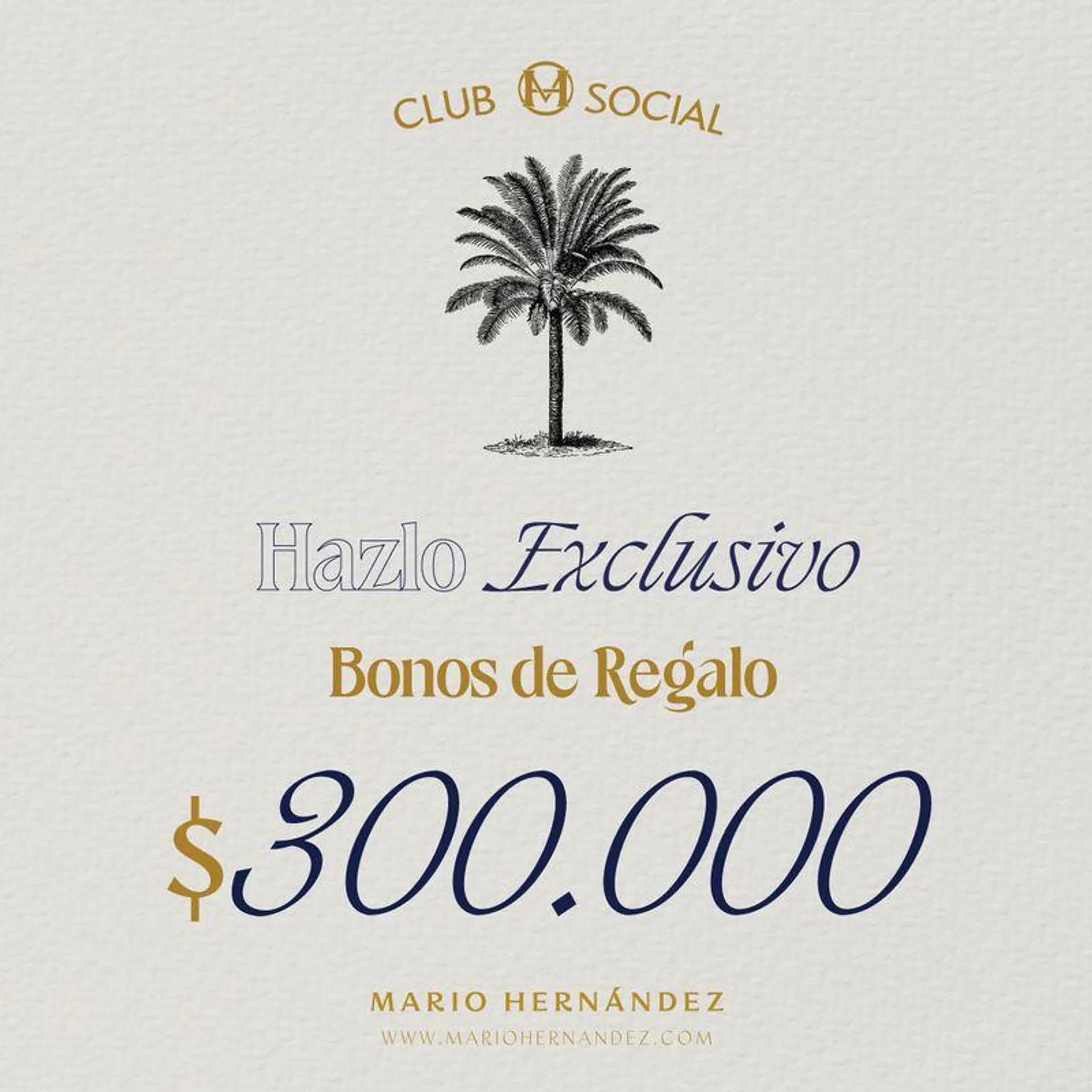 Bono Regalo MH 300.000 MARIO HERNÁNDEZ