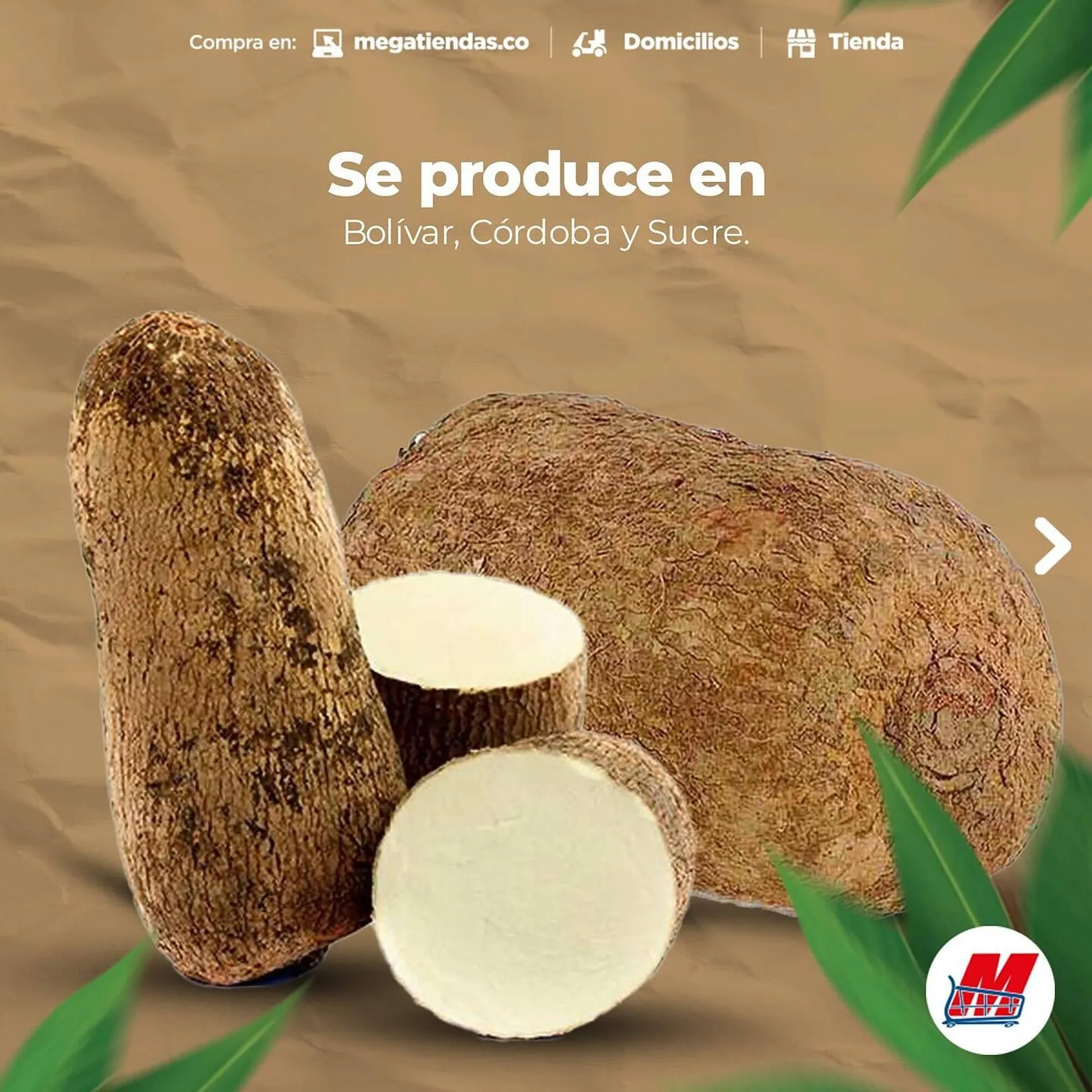 Catalogo de Catálogo MegaTiendas 25 de marzo al 30 de marzo 2025 - Pag 3