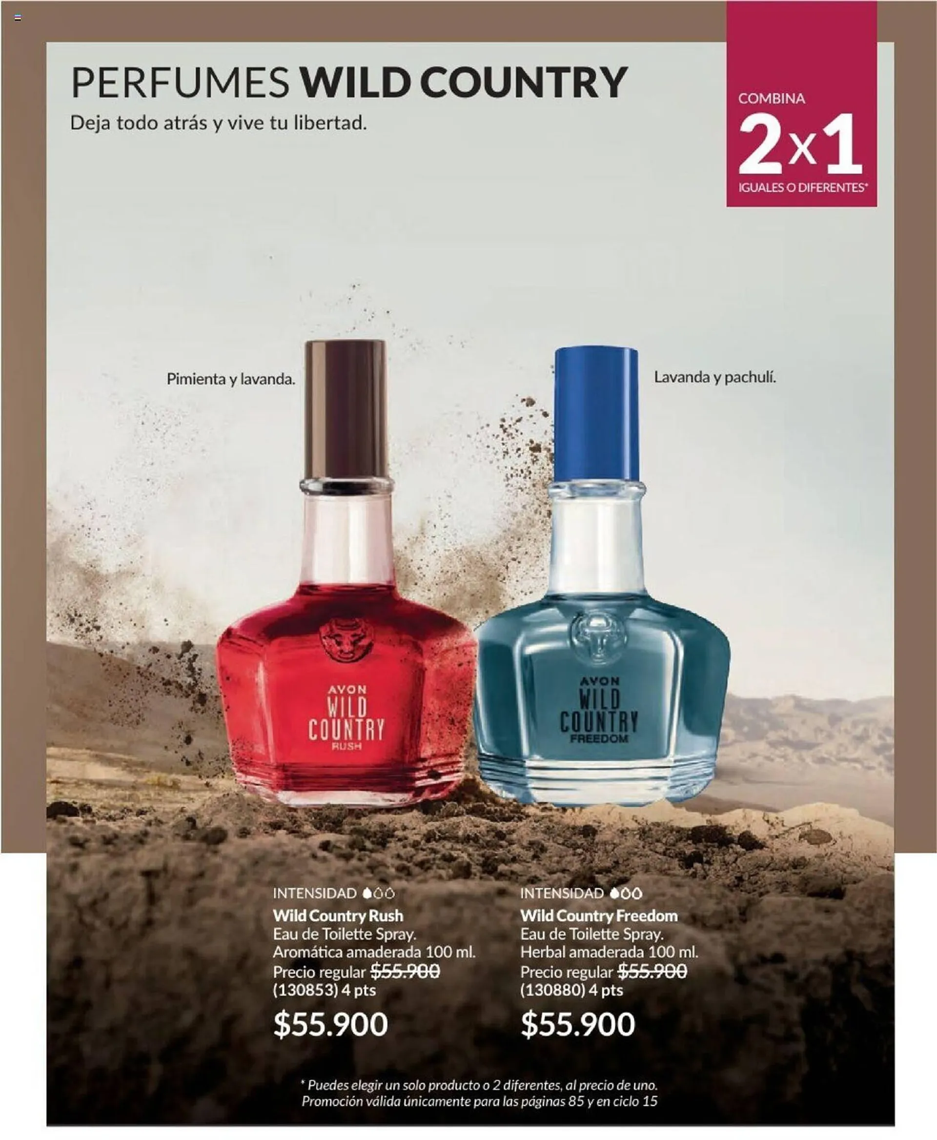 Catalogo de Catálogo Avon 15 de octubre al 10 de noviembre 2024 - Pag 93