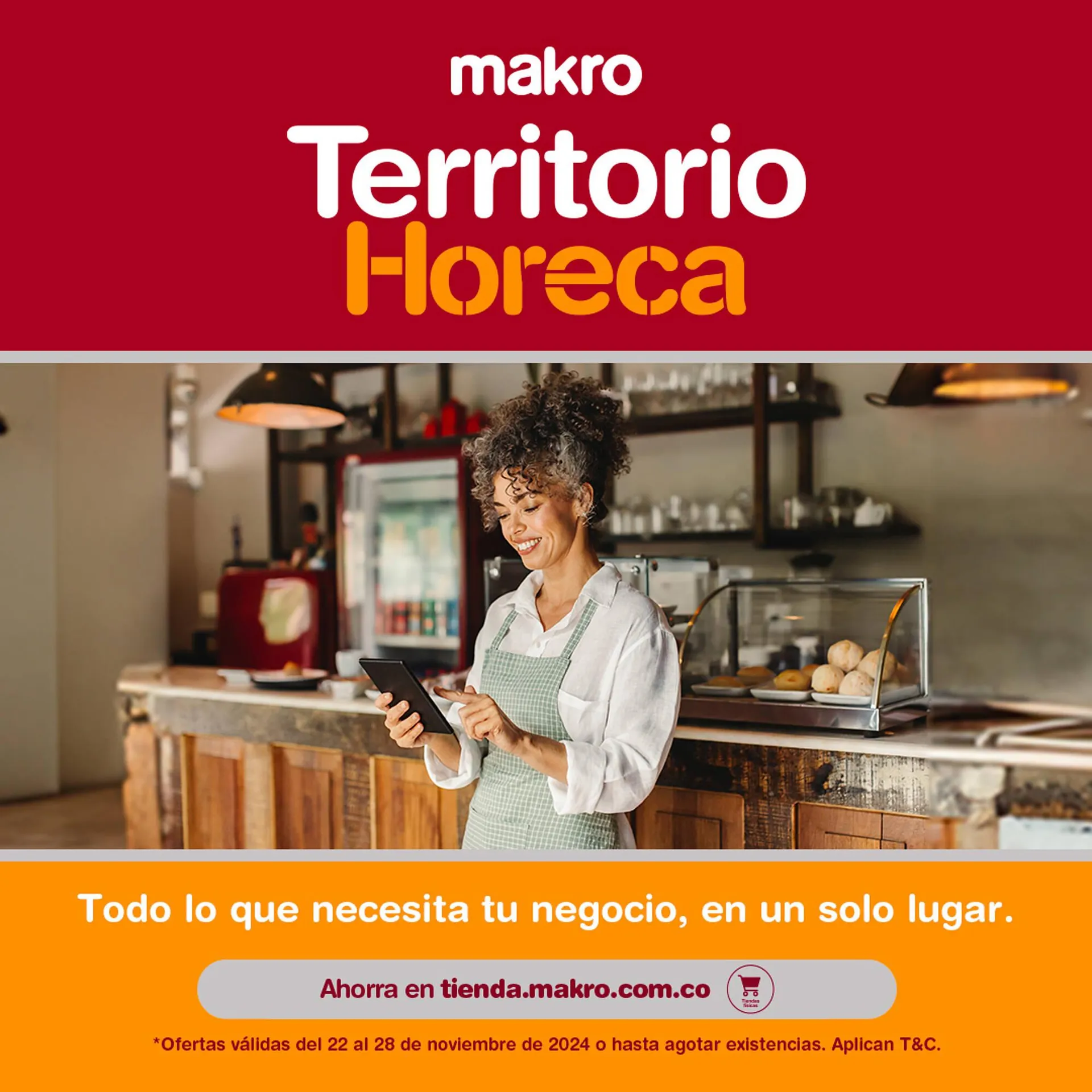 Catálogo Makro - 1