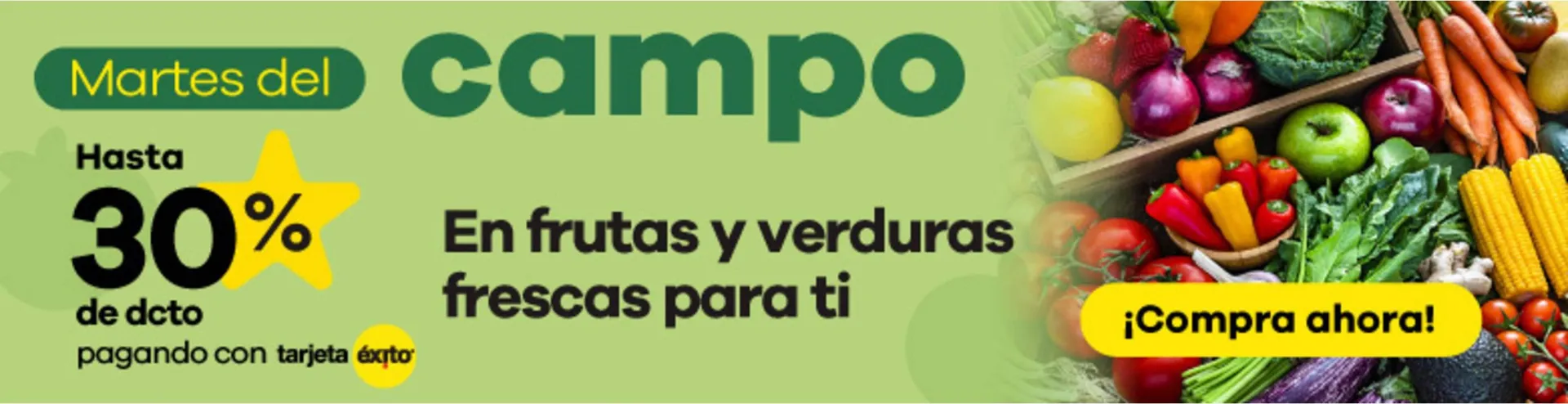 Catálogo Éxito - 1