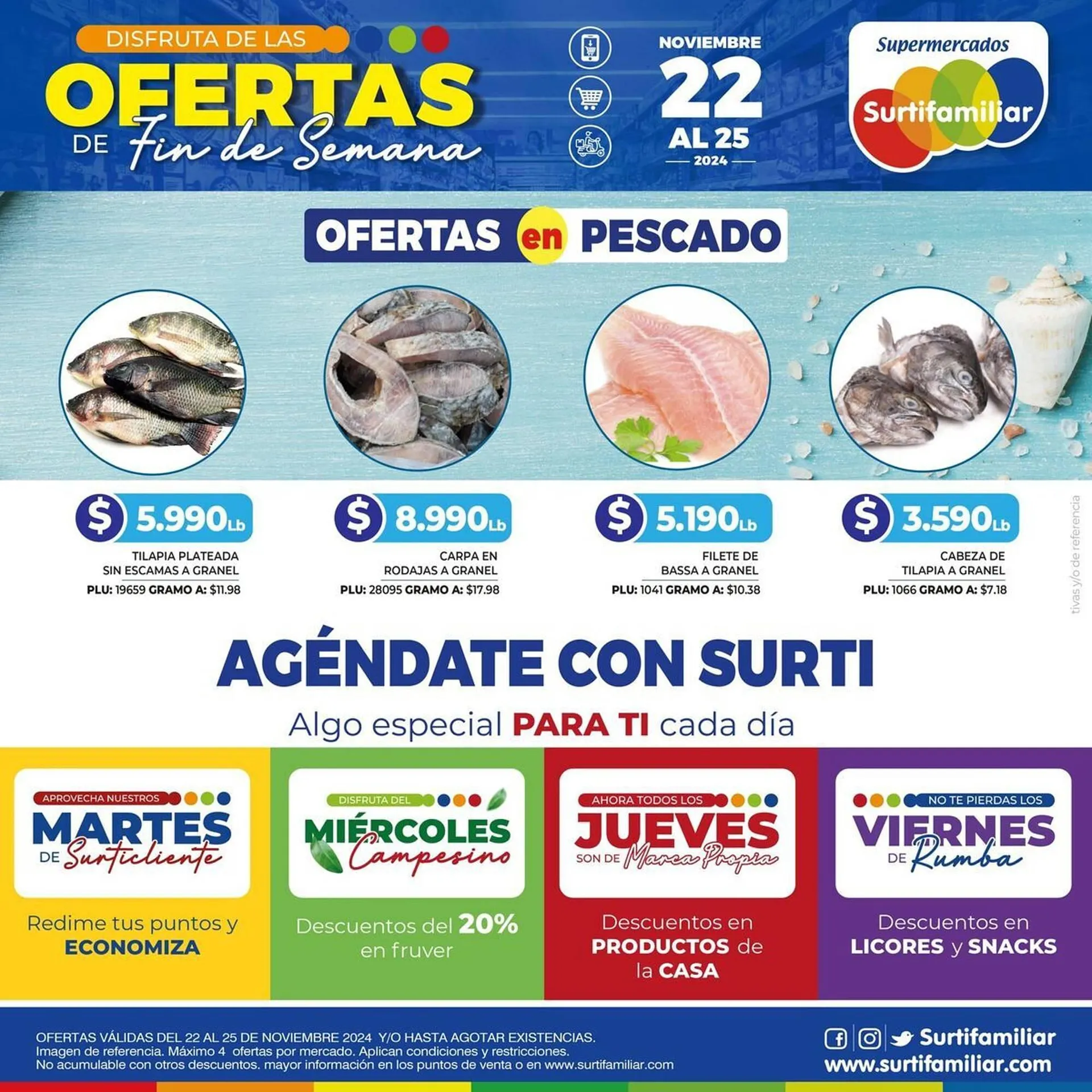 Catalogo de Catálogo Surtifamiliar 28 de noviembre al 12 de diciembre 2024 - Pag 3