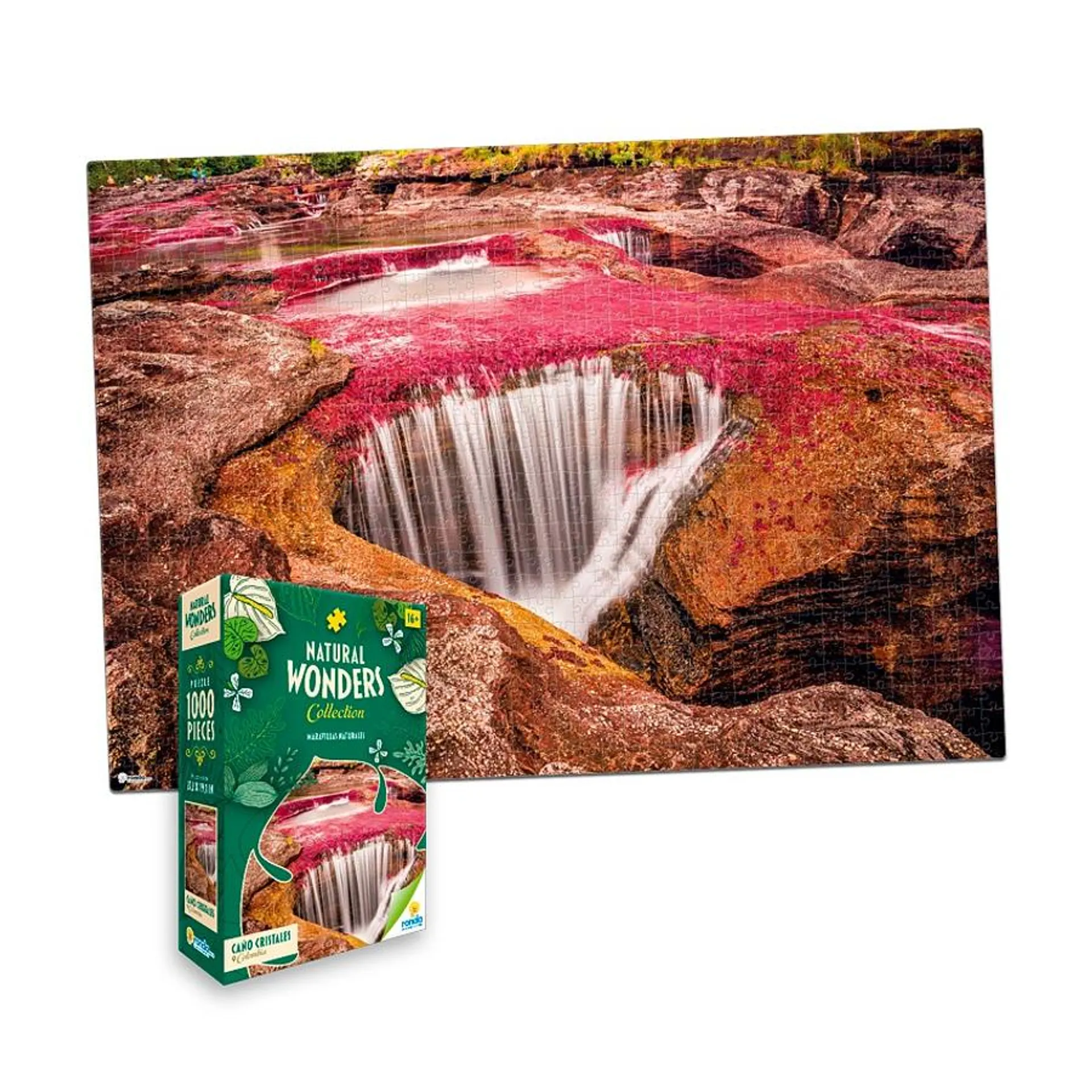 Rompecabezas X 1000 Piezas Caño Cristales Colombia