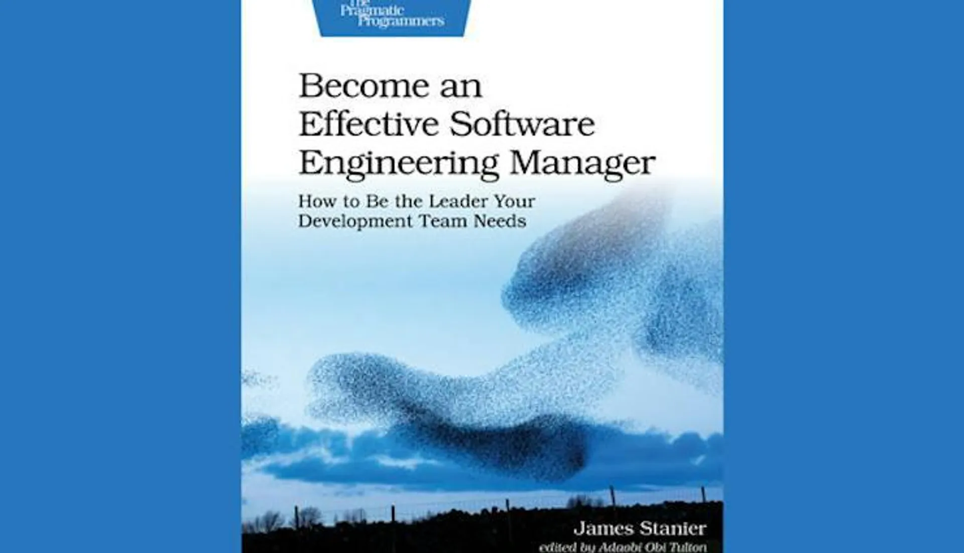 Become an Effective Software Engineering Manager