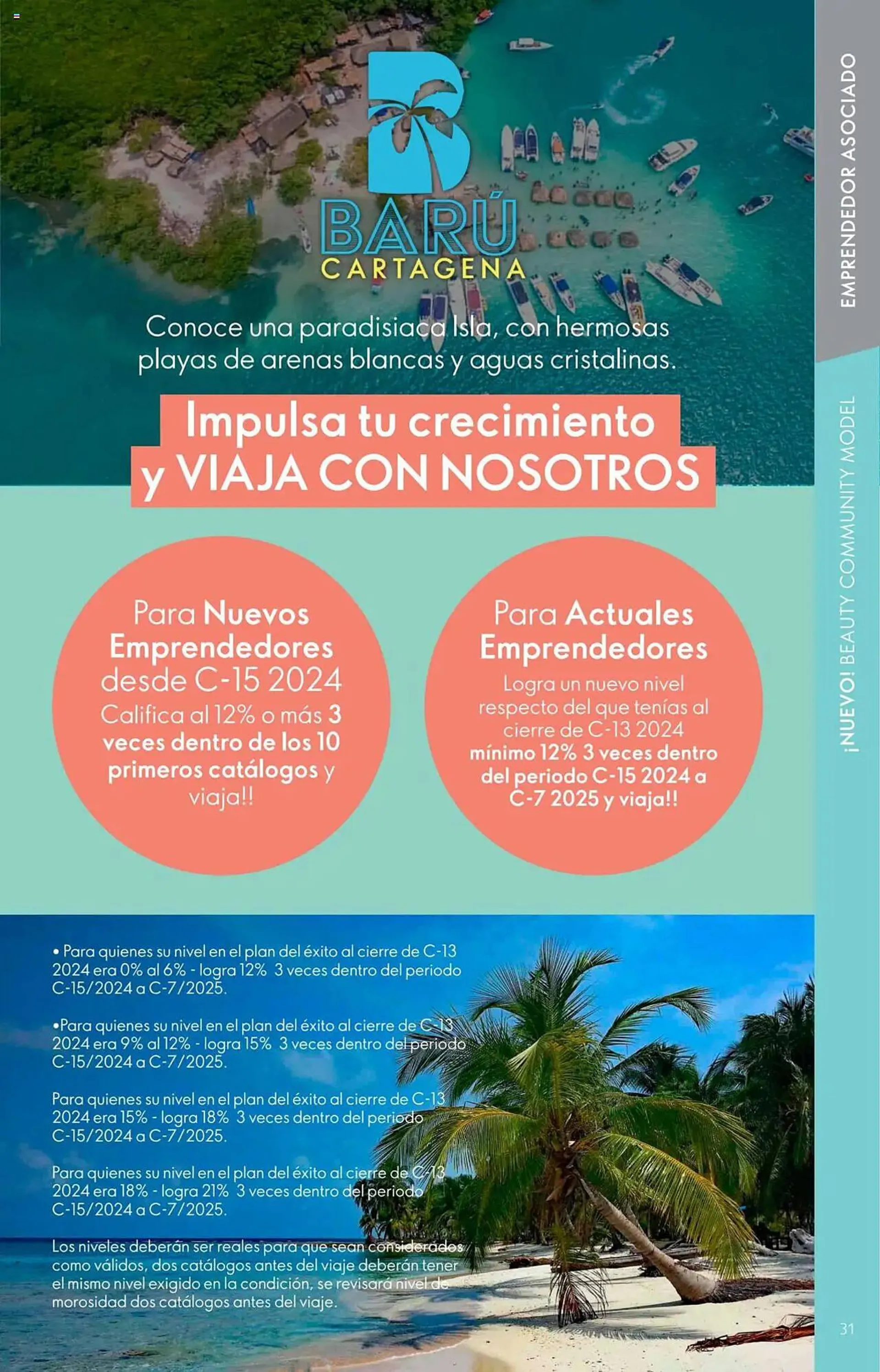 Catalogo de Catálogo Oriflame 30 de noviembre al 27 de diciembre 2024 - Pag 31