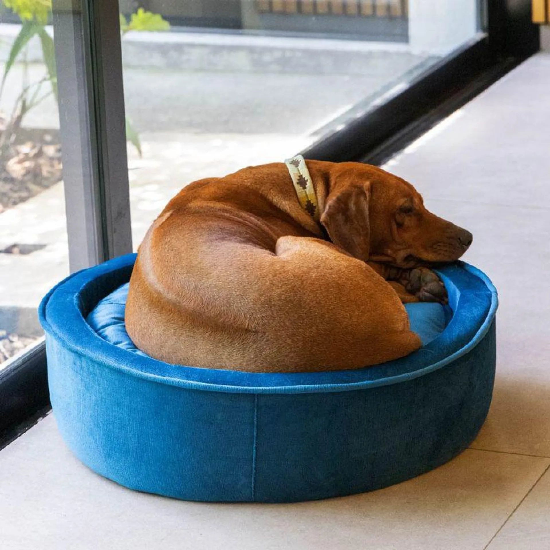 CAMA PARA MASCOTAS MEDIANA REDONDA VERDE TURQUESA