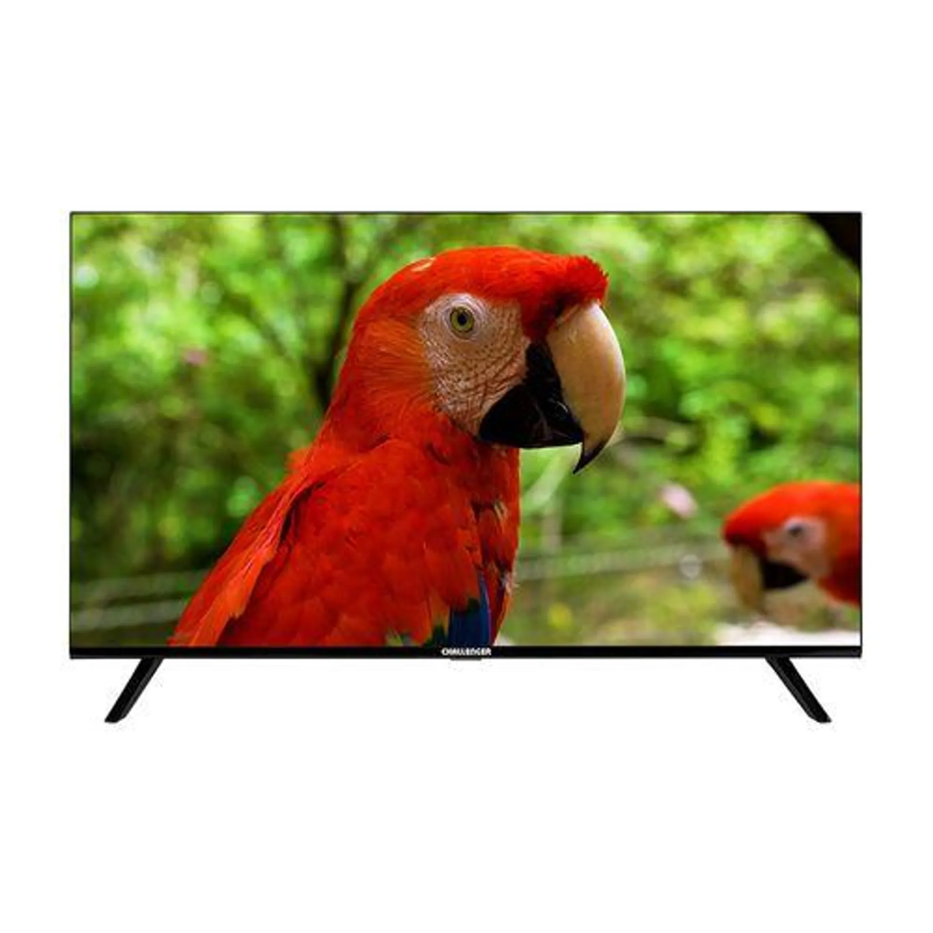 Televisor 32" Google TV con Bluetooth, WIFI, Chromecast y Control por voz. Incluye soporte de pared - LED 32TG79 BT GOOGLETV T2