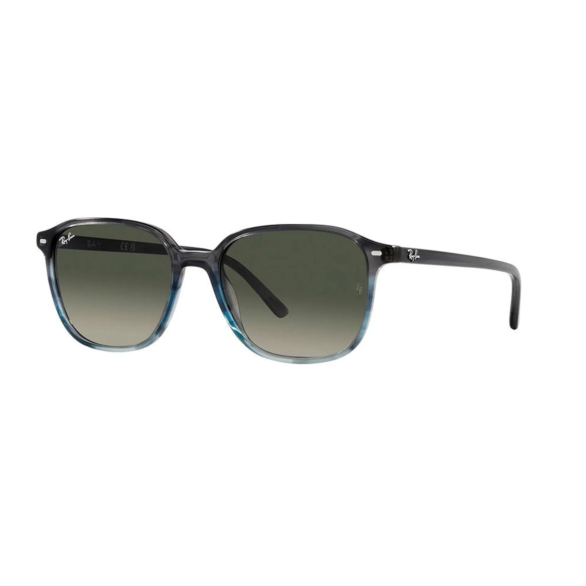 Ray-Ban 2193 Leonard 138171