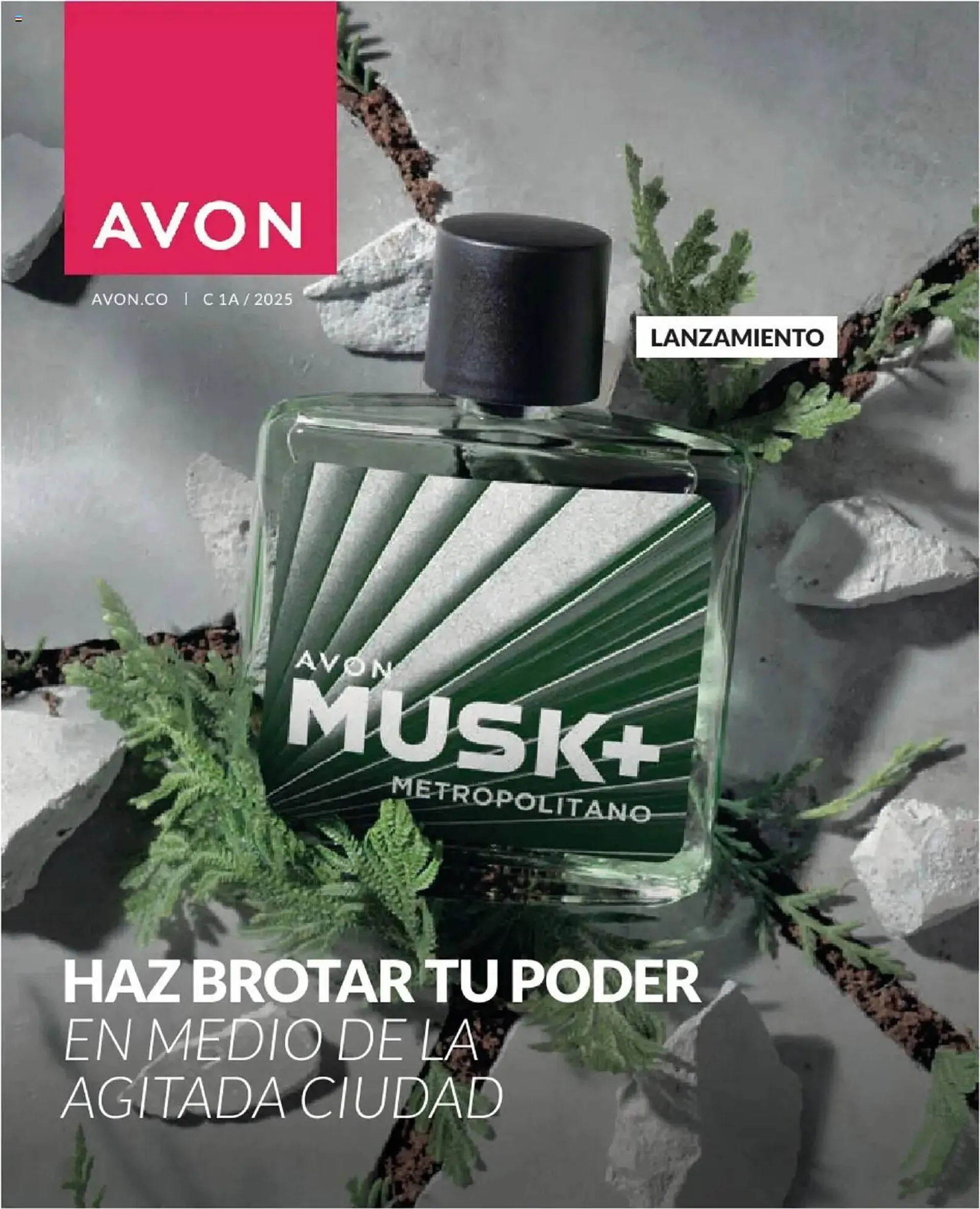 Catálogo Avon - 1