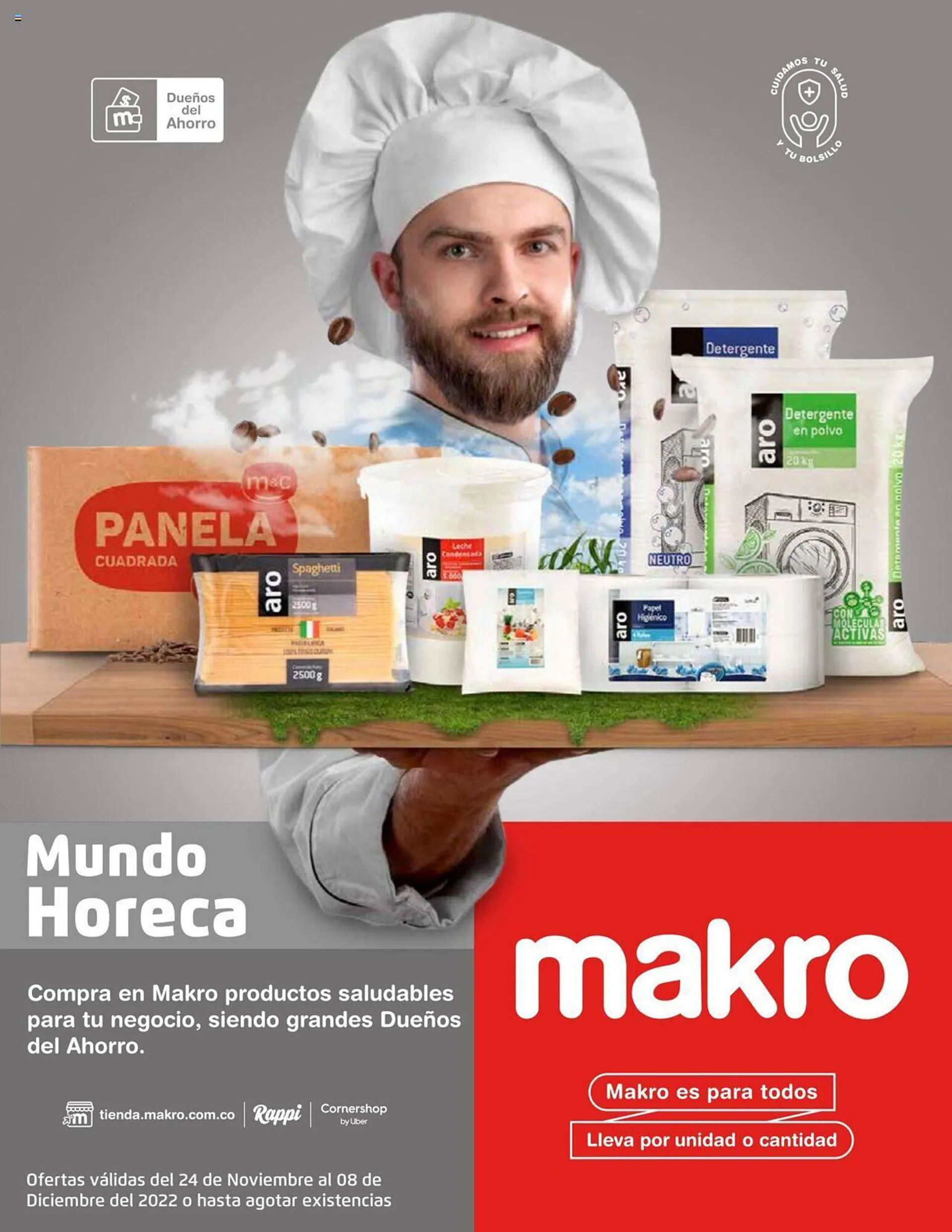 Catálogo Makro - 1