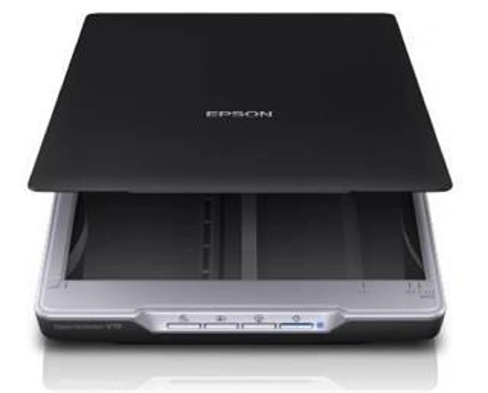 Epson Perfection V19
