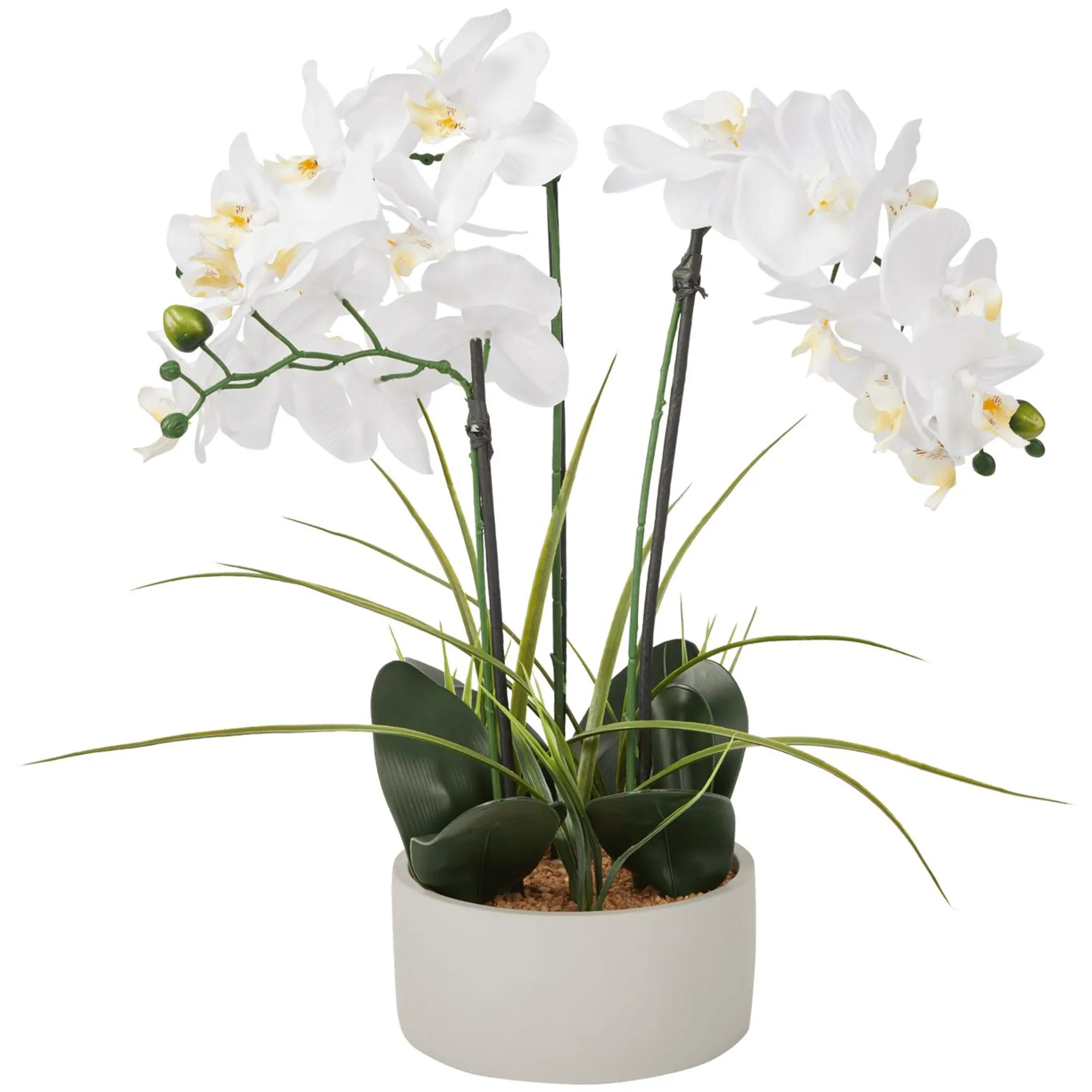 Orchidea finta in vaso