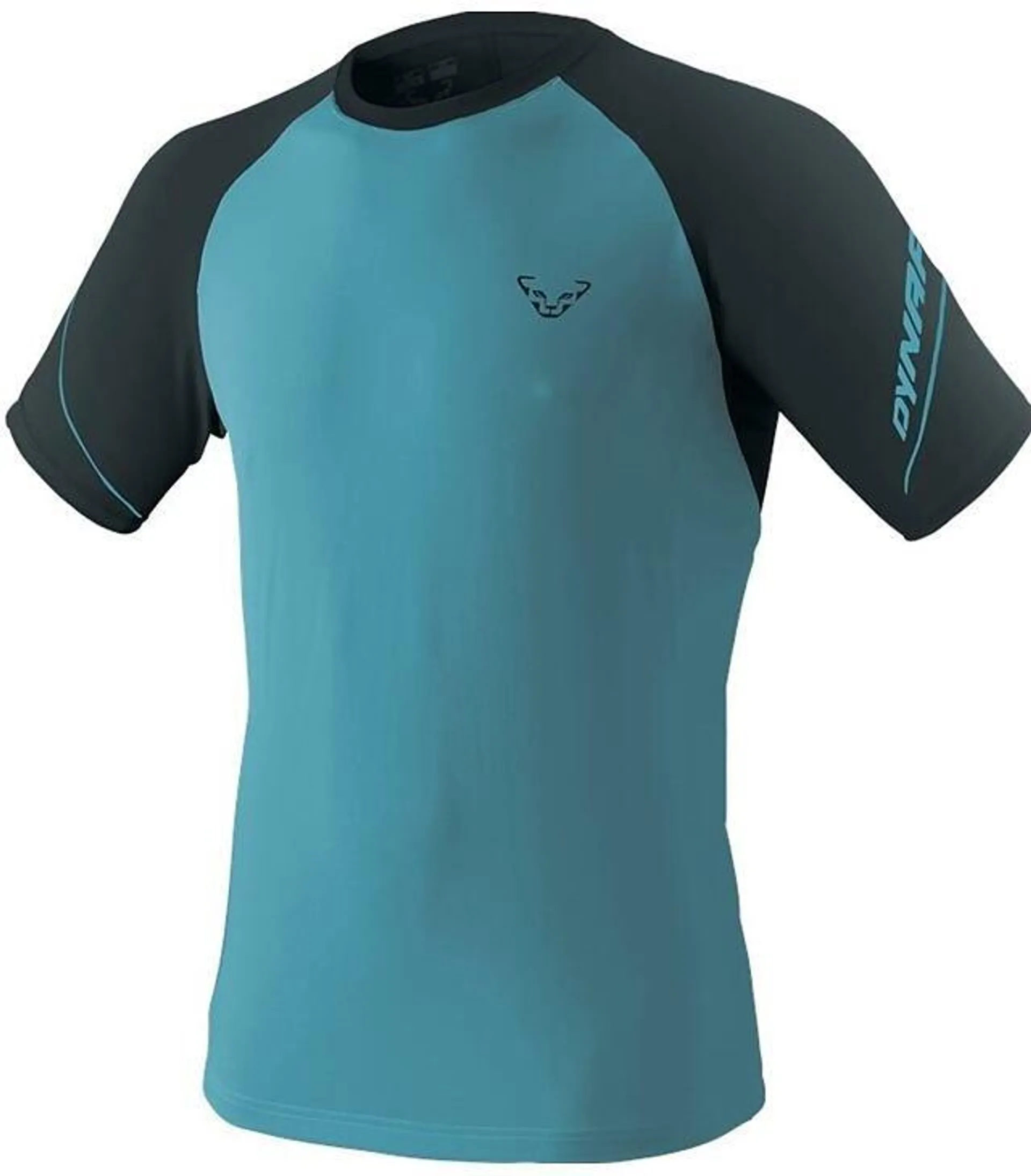 Tričko DYNAFIT ALPINE PRO M S/S TEE Man