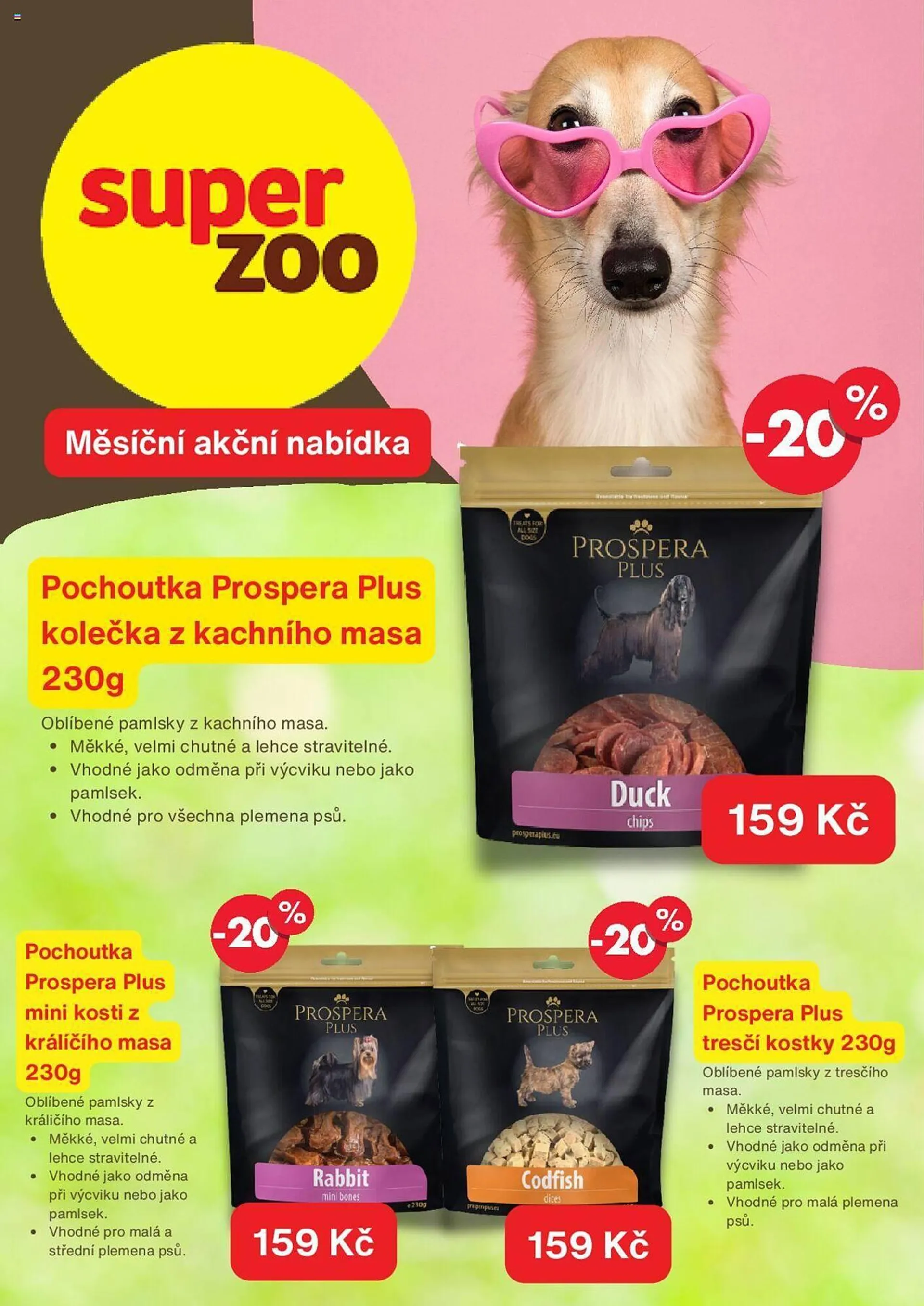 Super Zoo leták - 2