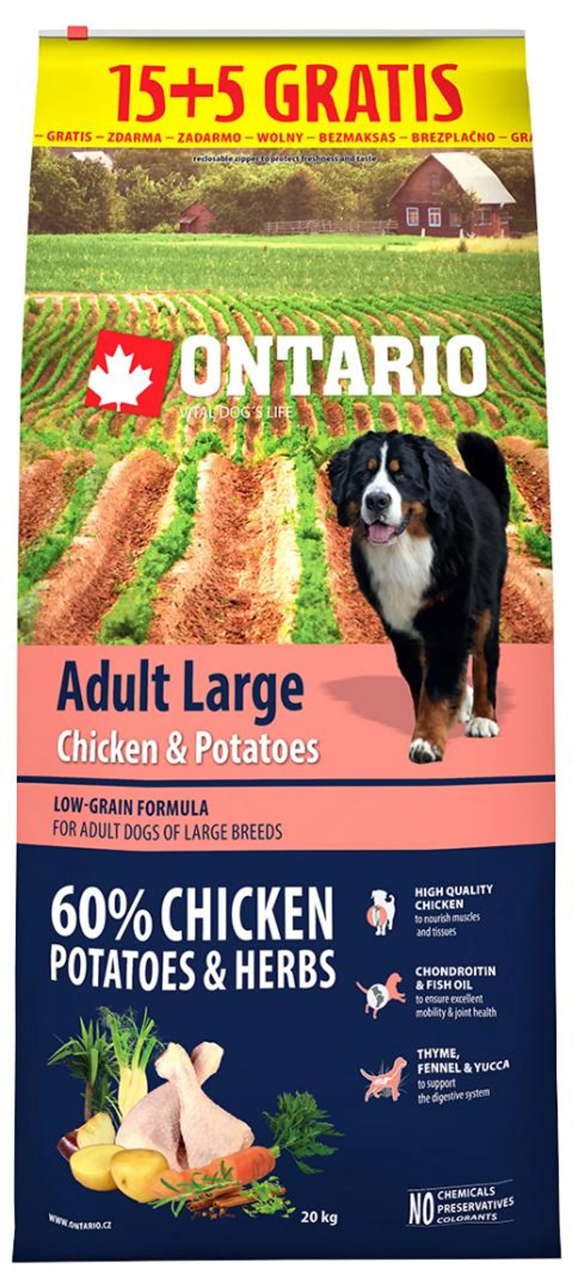 Ontario Adult Large Chicken & Potatoes 15+5kg zdarma