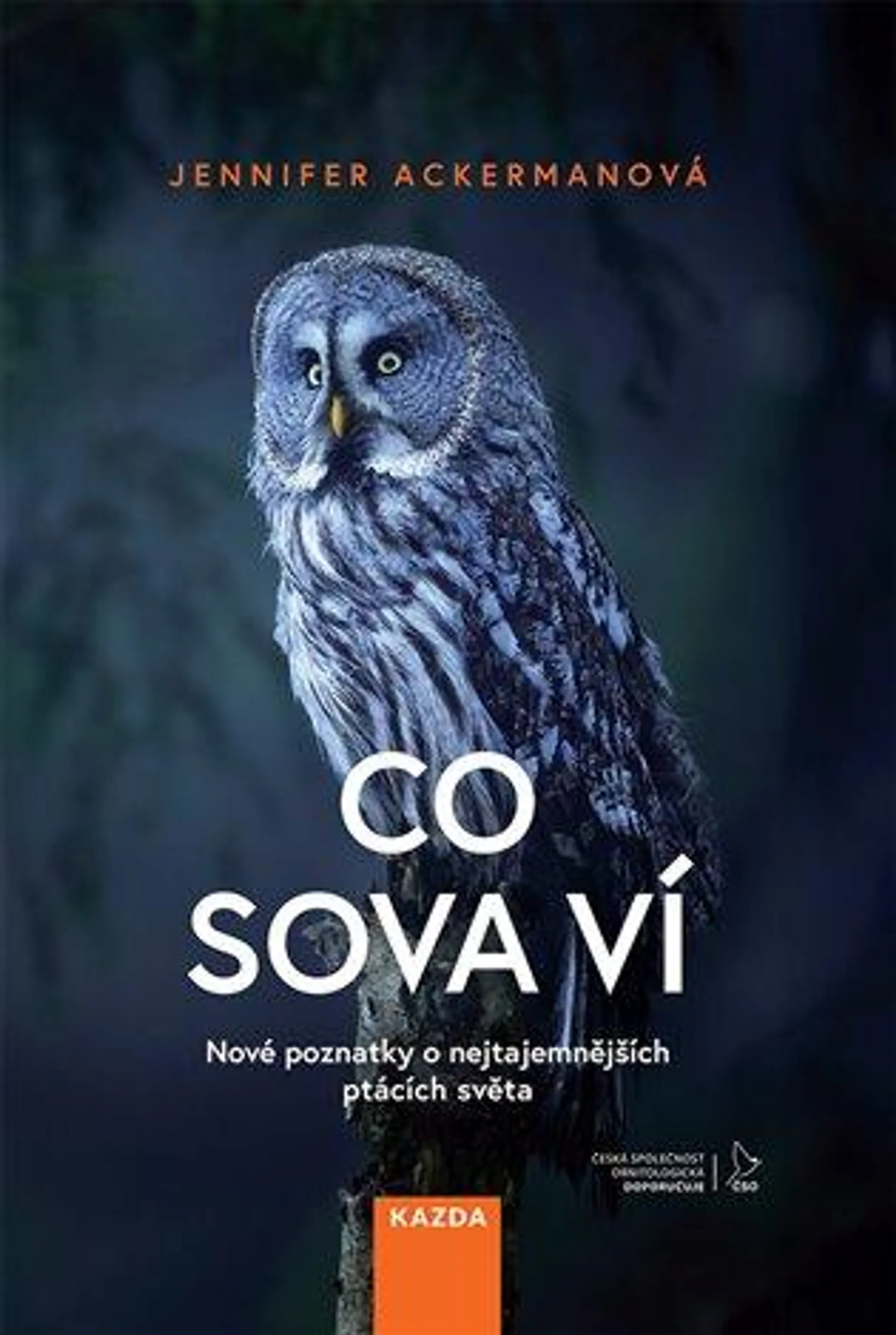 Co sova ví: Nové poznatky o nejtajemnějších ptácích světa