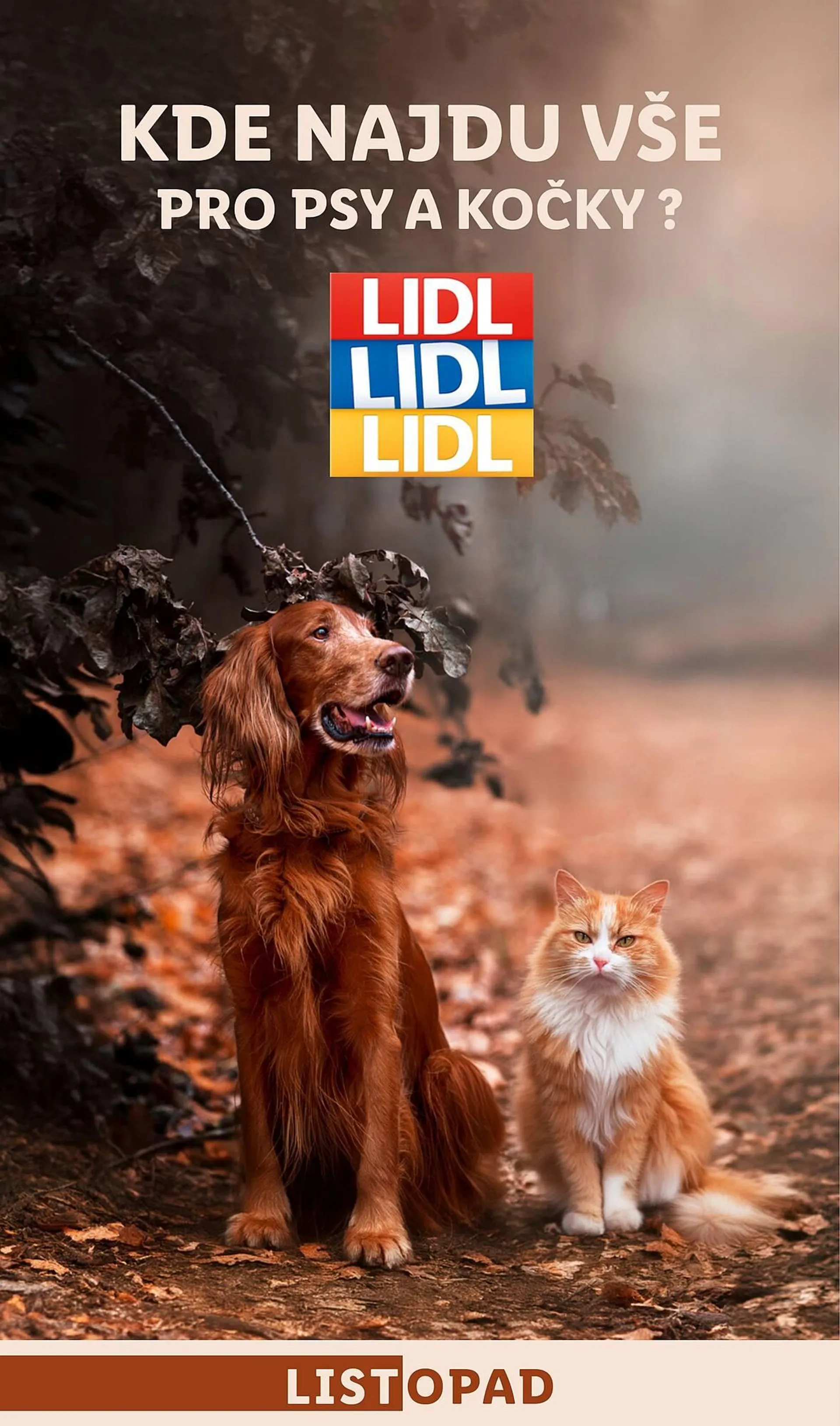 Lidl leták - 1