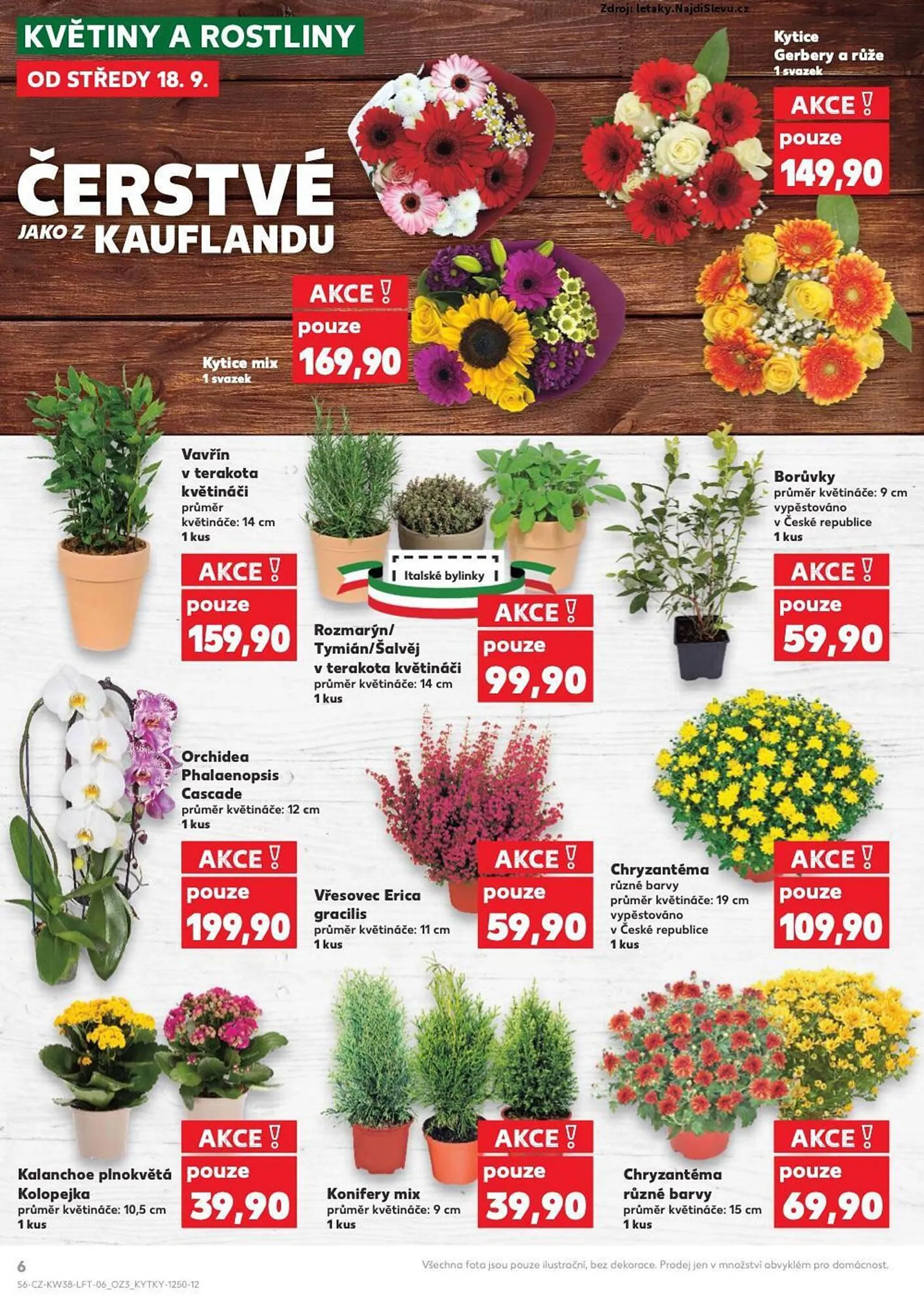 Kaufland leták - 18. září 24. září 2024 - Page 6