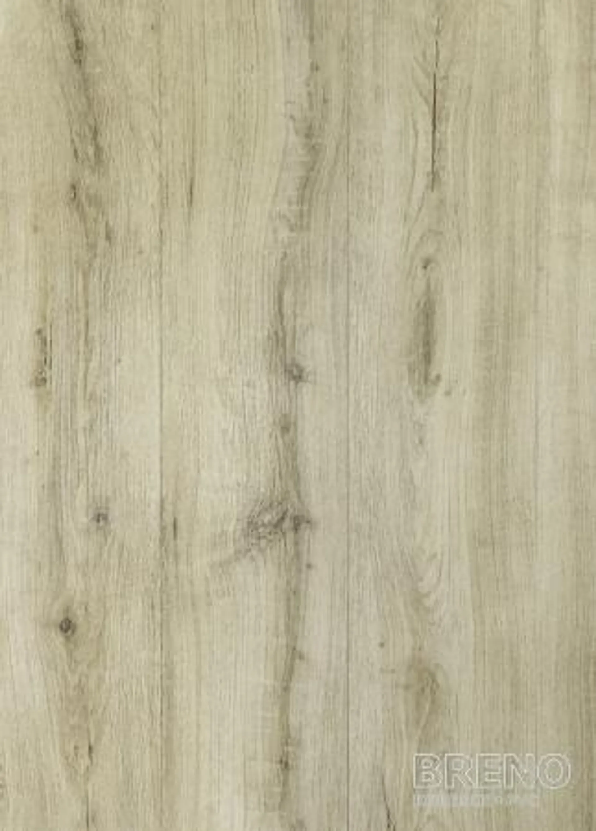 Vinylová podlaha MODULEO S. - Brio Oak 22247