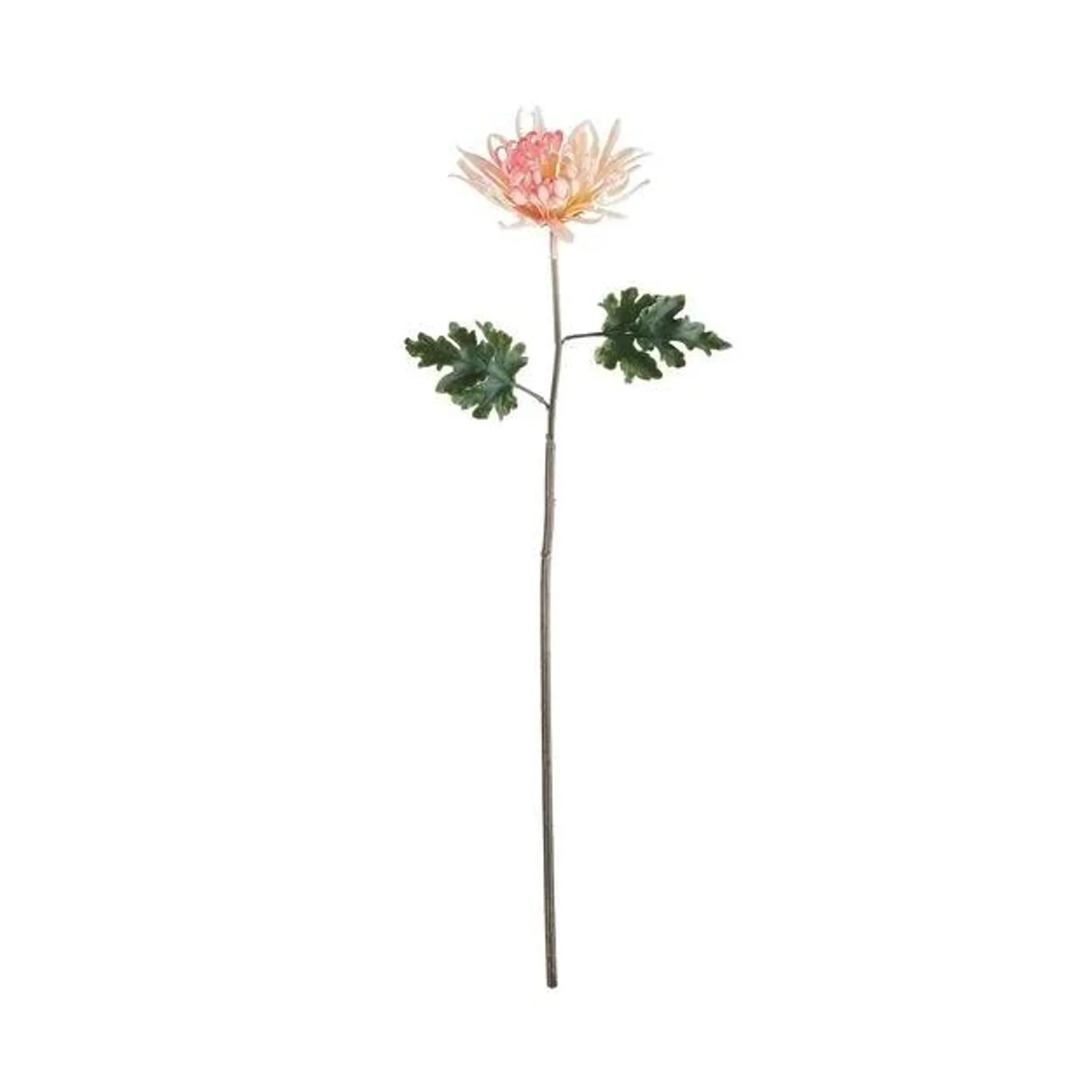 FLORISTA Chryzantéma 68 cm - růžová