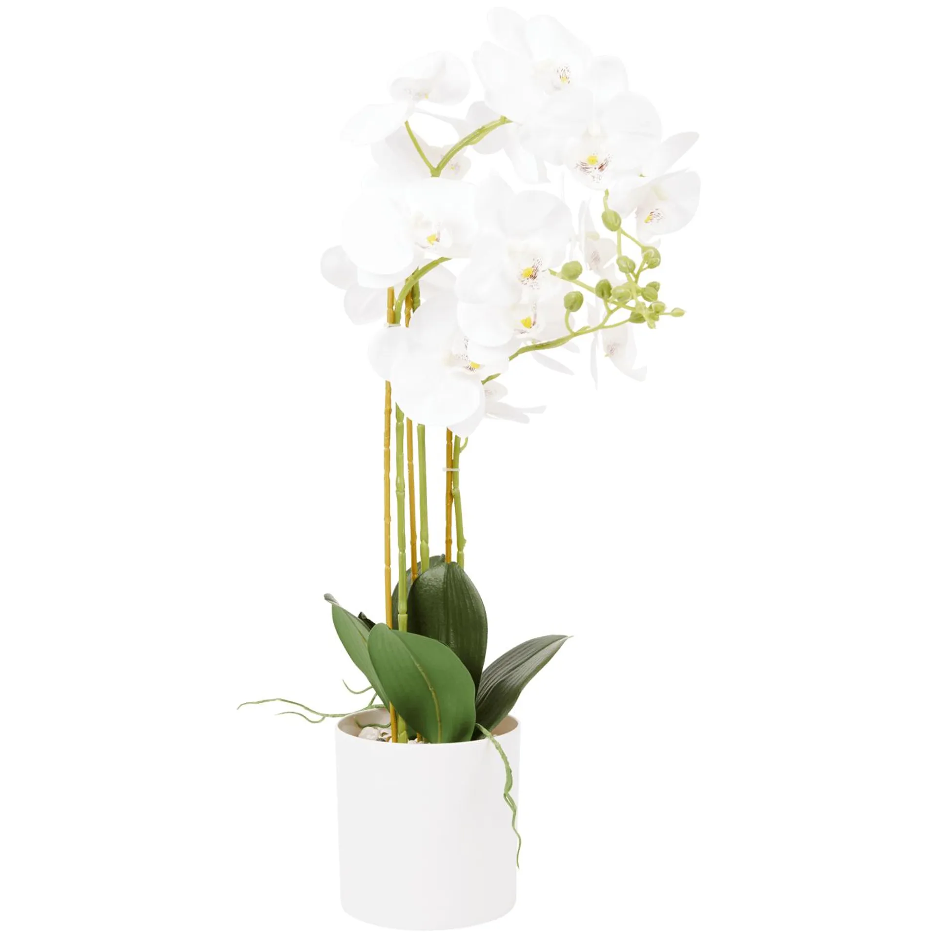 Orchidea finta in vaso