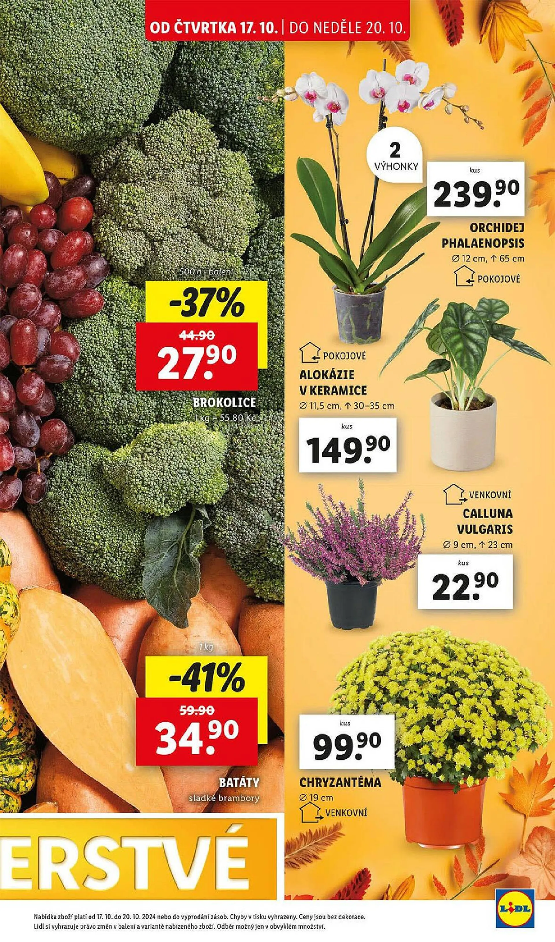 Lidl leták - 17. října 20. října 2024 - Page 11