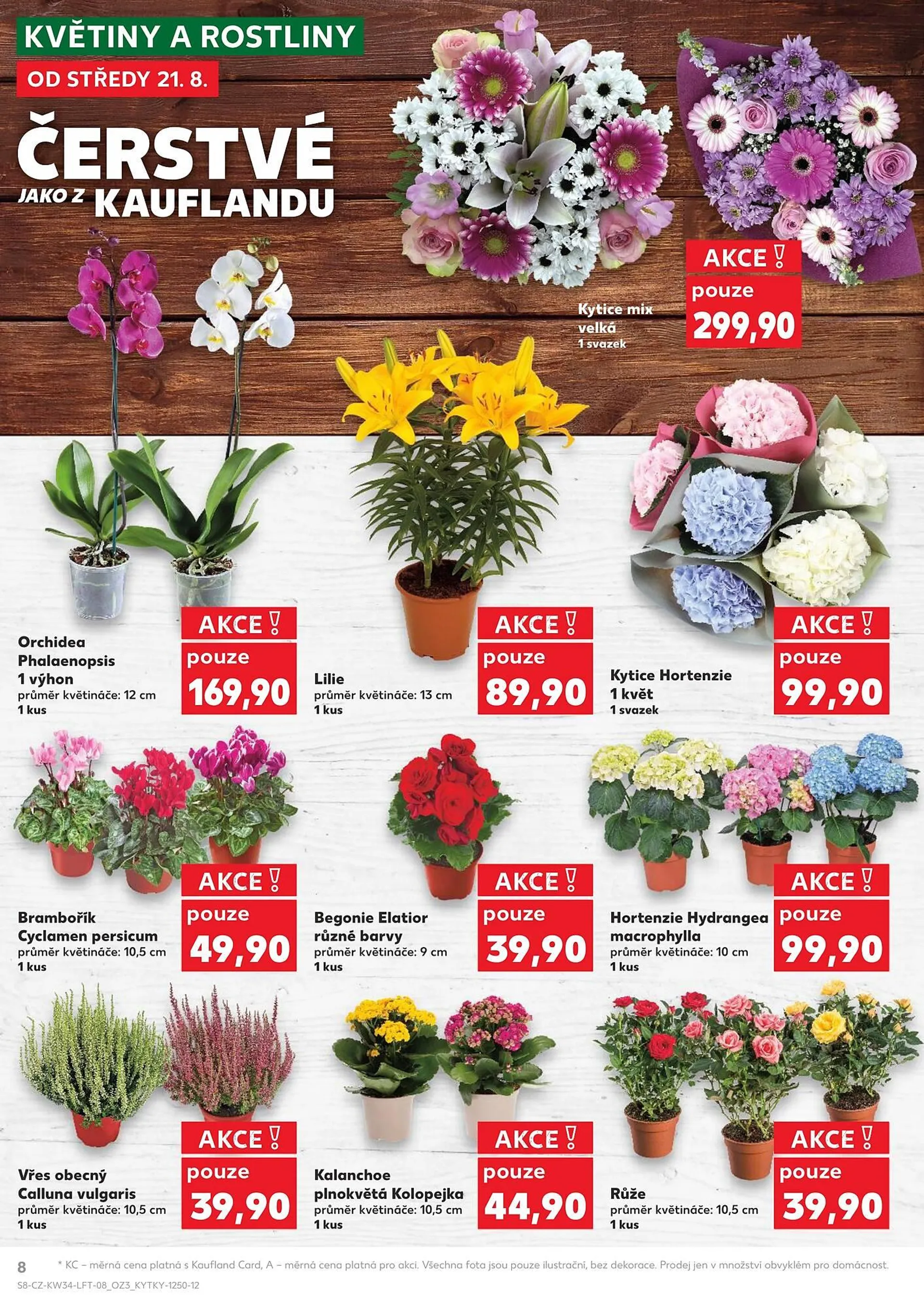 Kaufland leták - 21. srpna 27. srpna 2024 - Page 8