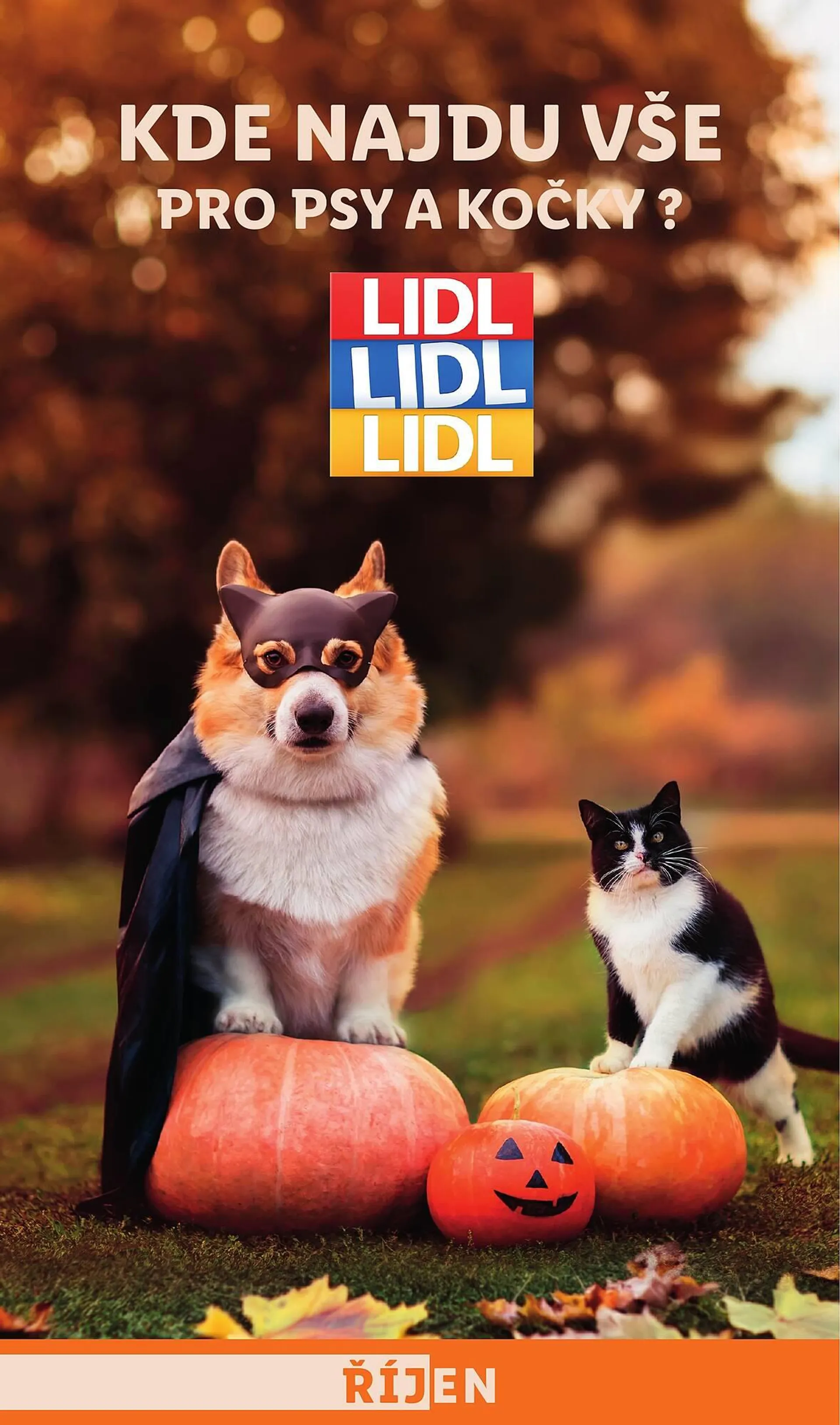 Lidl leták - 1