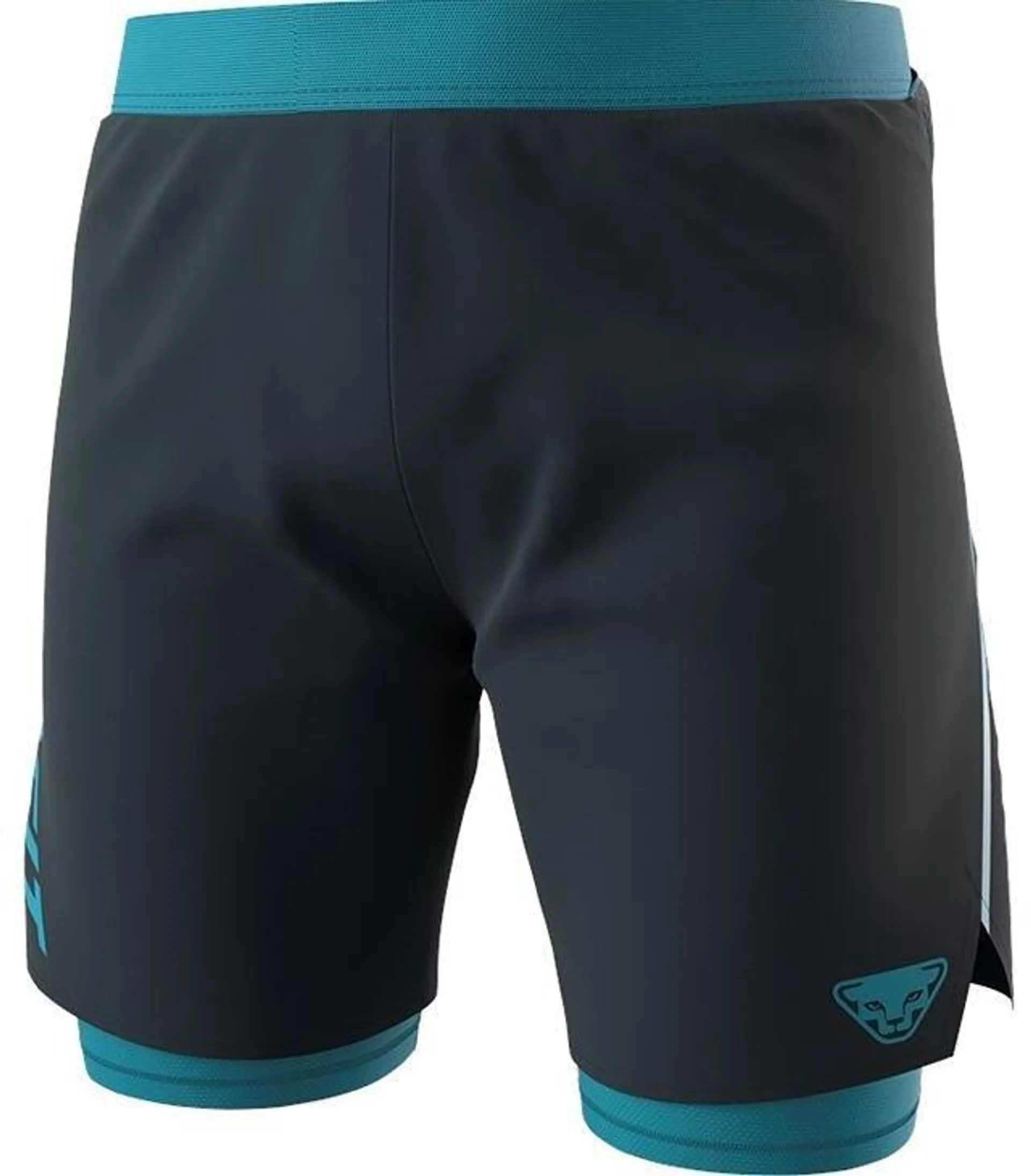 Kraťasy DYNAFIT ALPINE PRO 2/1 SHORTS M Man