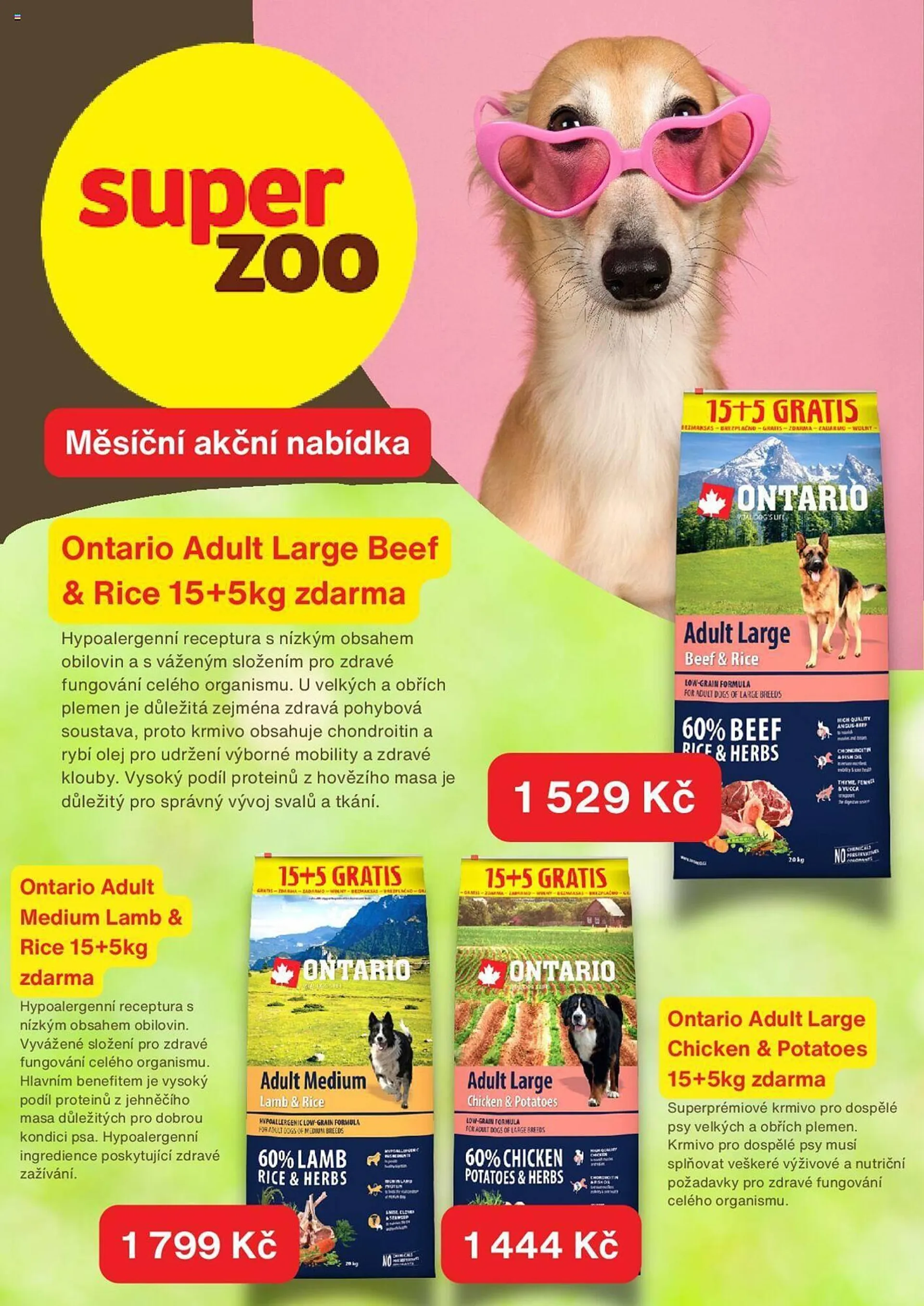 Super Zoo leták - 21. října 13. listopadu 2024 - Page 2