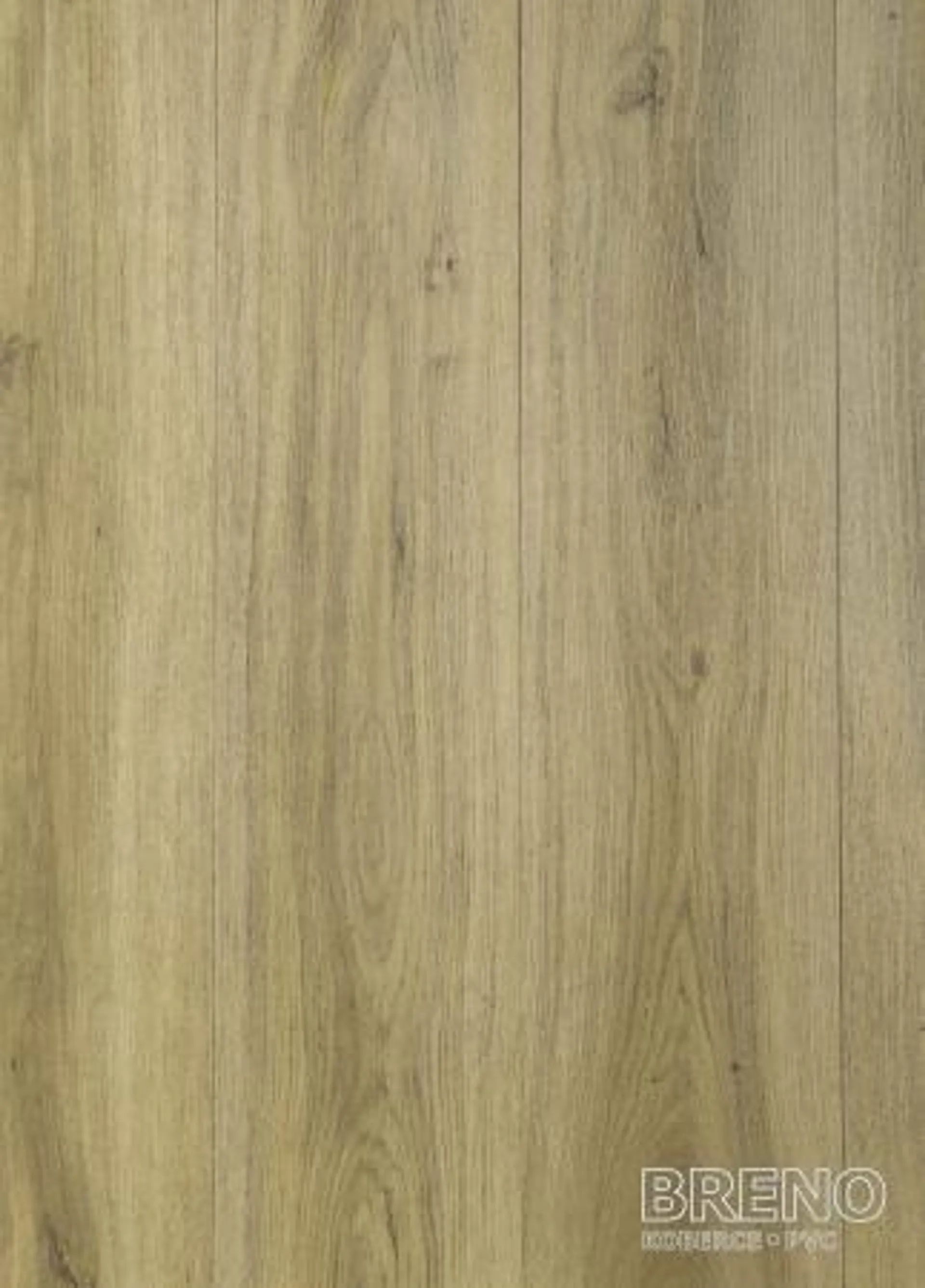 Vinylová podlaha MODULEO S. - Classic Oak 24837