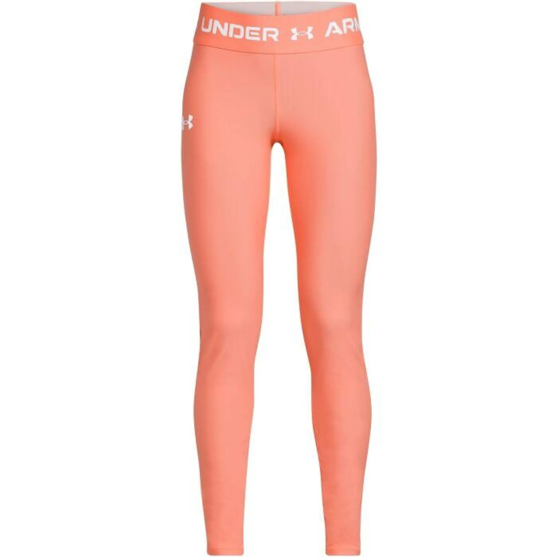 Under Armour ARMOUR LEGGINS