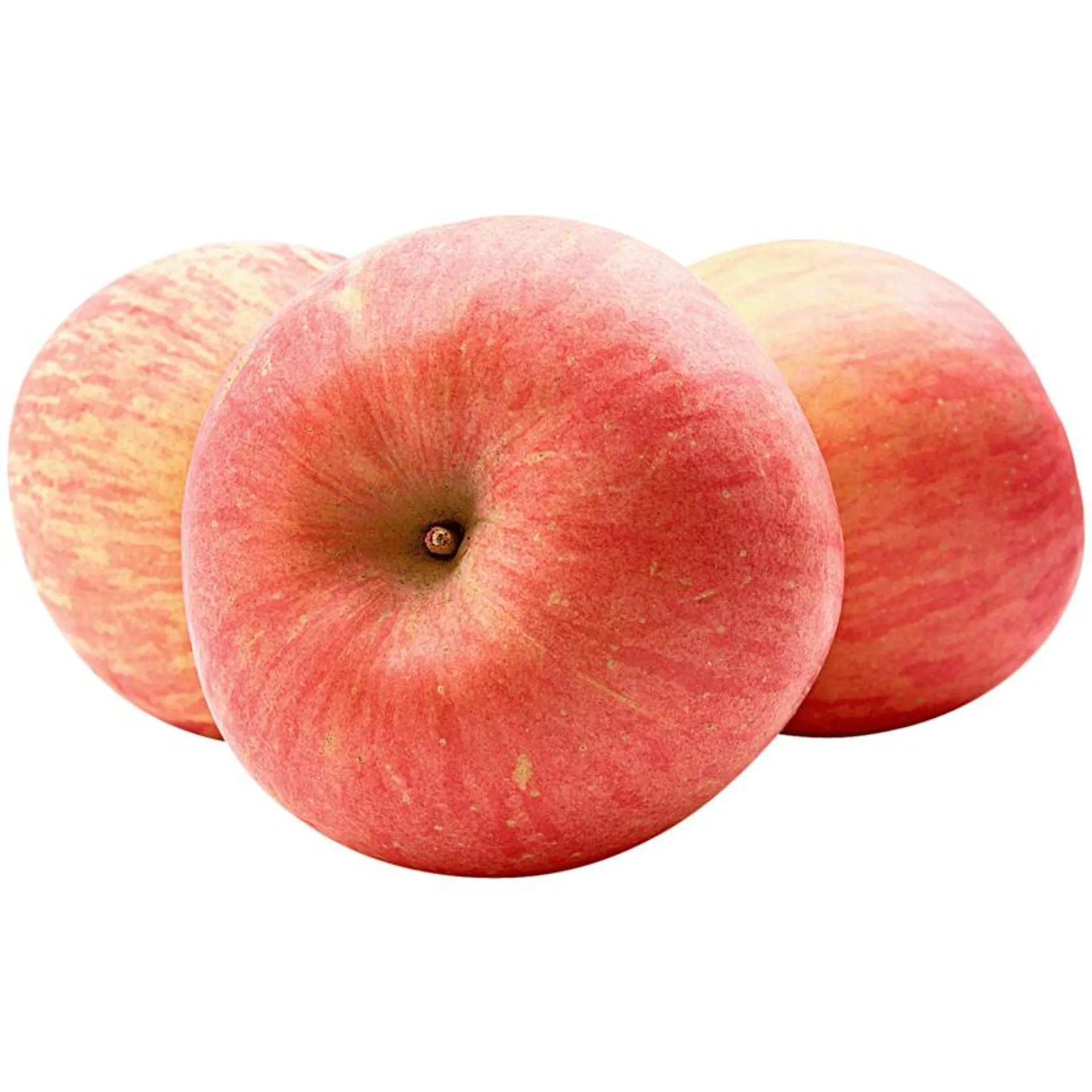 Apfel Pink Lady 6 Stück in der Schale