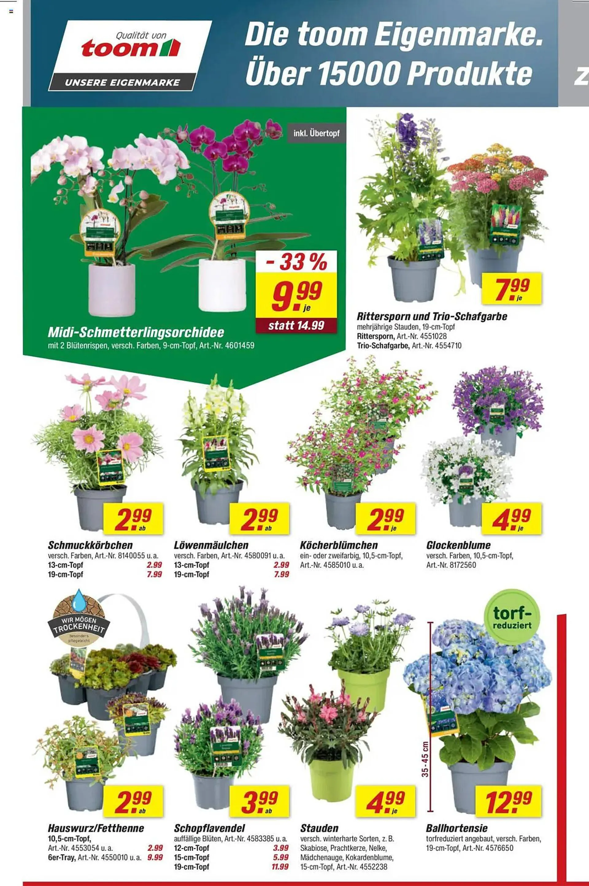 toom Baumarkt Prospekt von 7. Juni bis 13. Juni 2025 - Prospekt seite 4