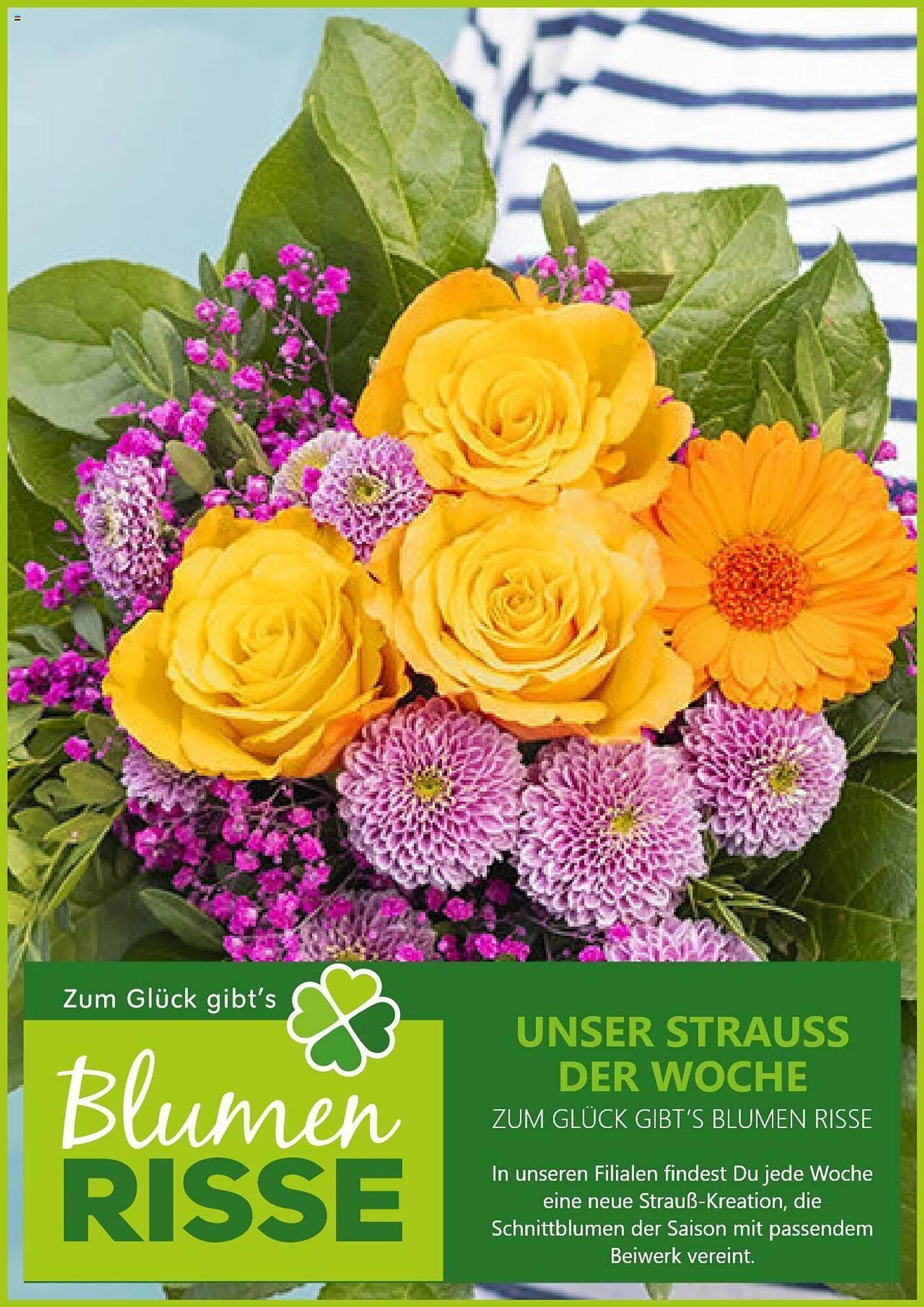 Blumen Risse Prospekt von 16. Oktober bis 13. November 2024 - Prospekt seite 1