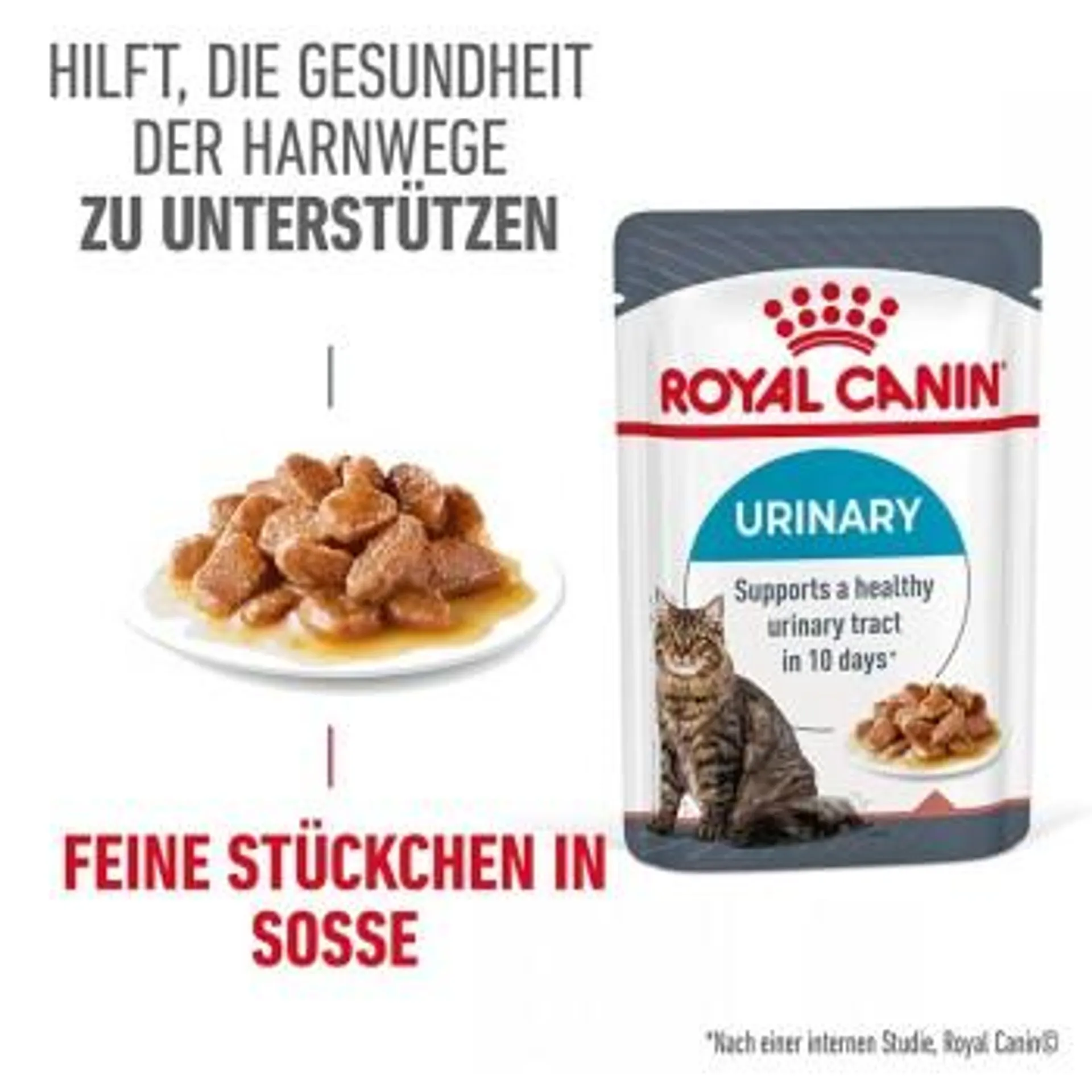 ROYAL CANIN Care Urinary in Soße 12x85 g