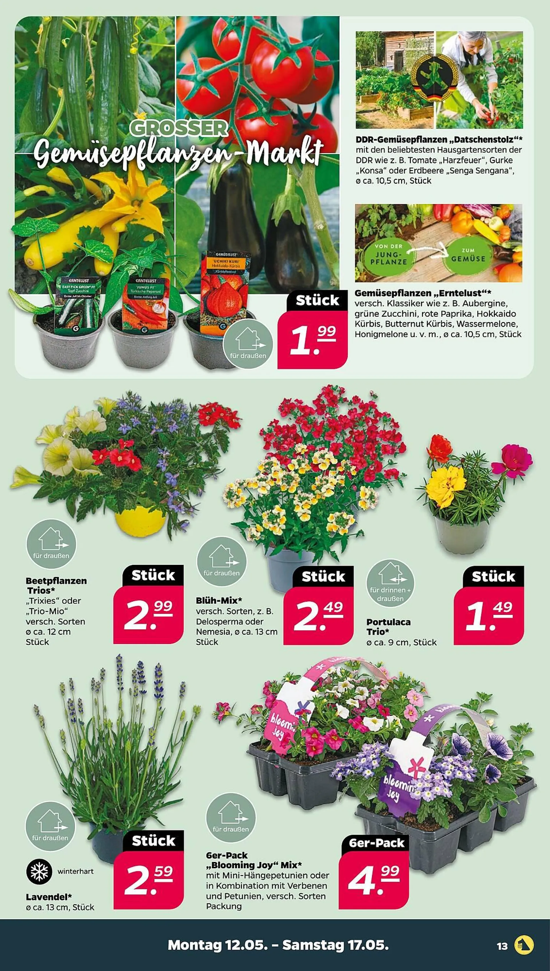 NETTO Prospekt von 12. Mai bis 17. Mai 2025 - Prospekt seite 13