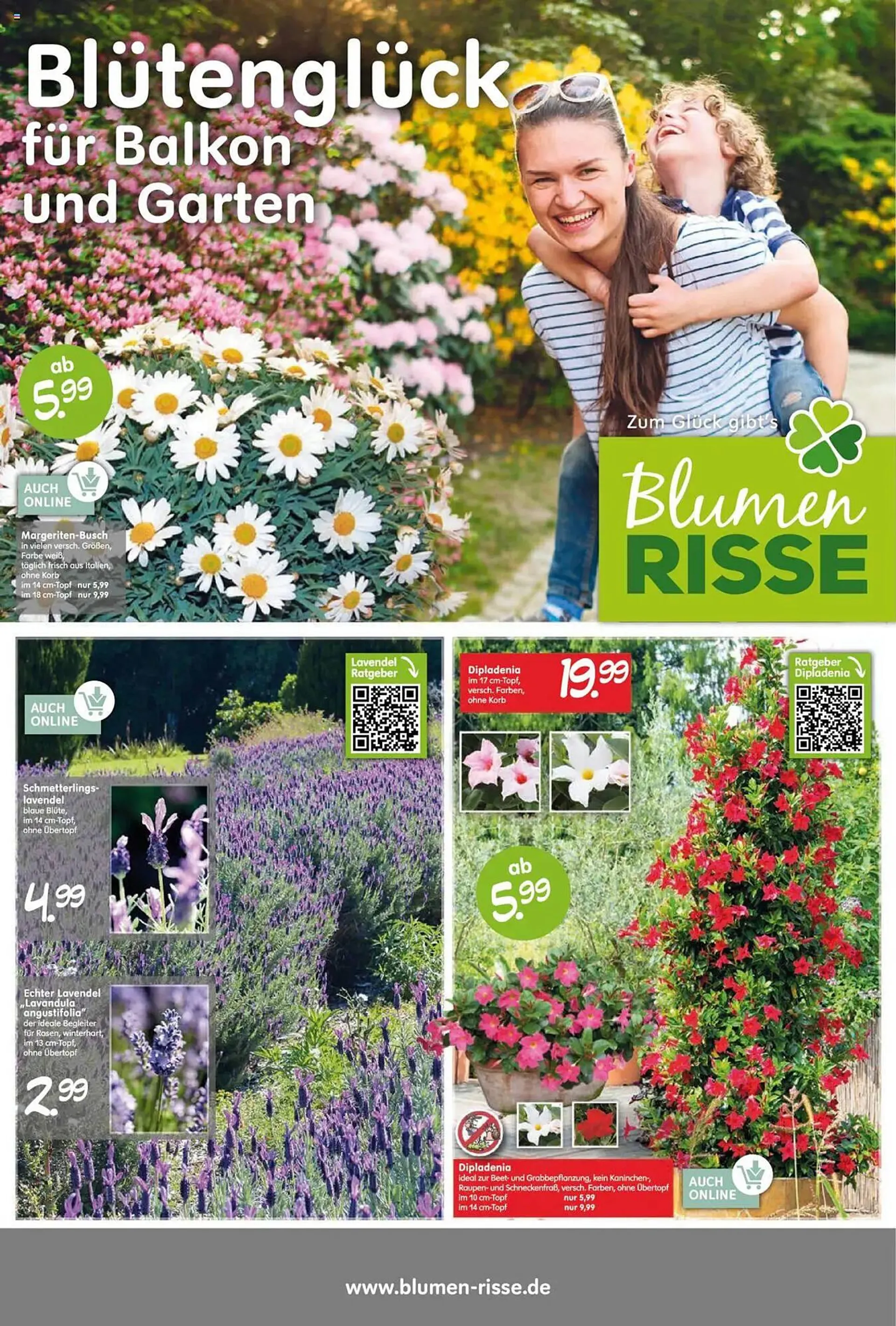 Blumen Risse Prospekt - 1