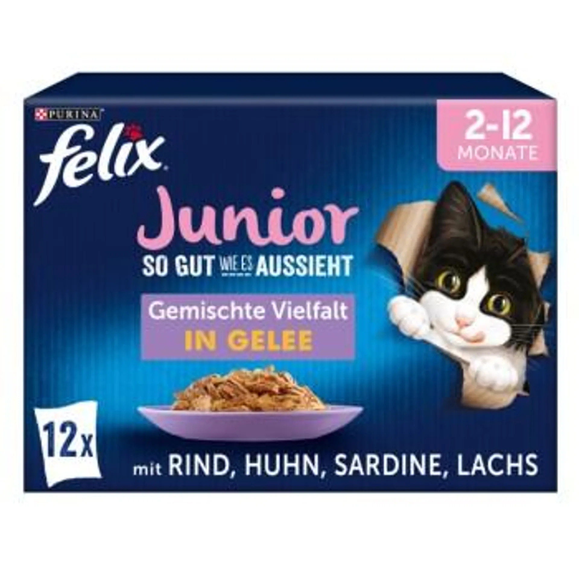 Felix So gut wie es aussieht Junior 12x85g