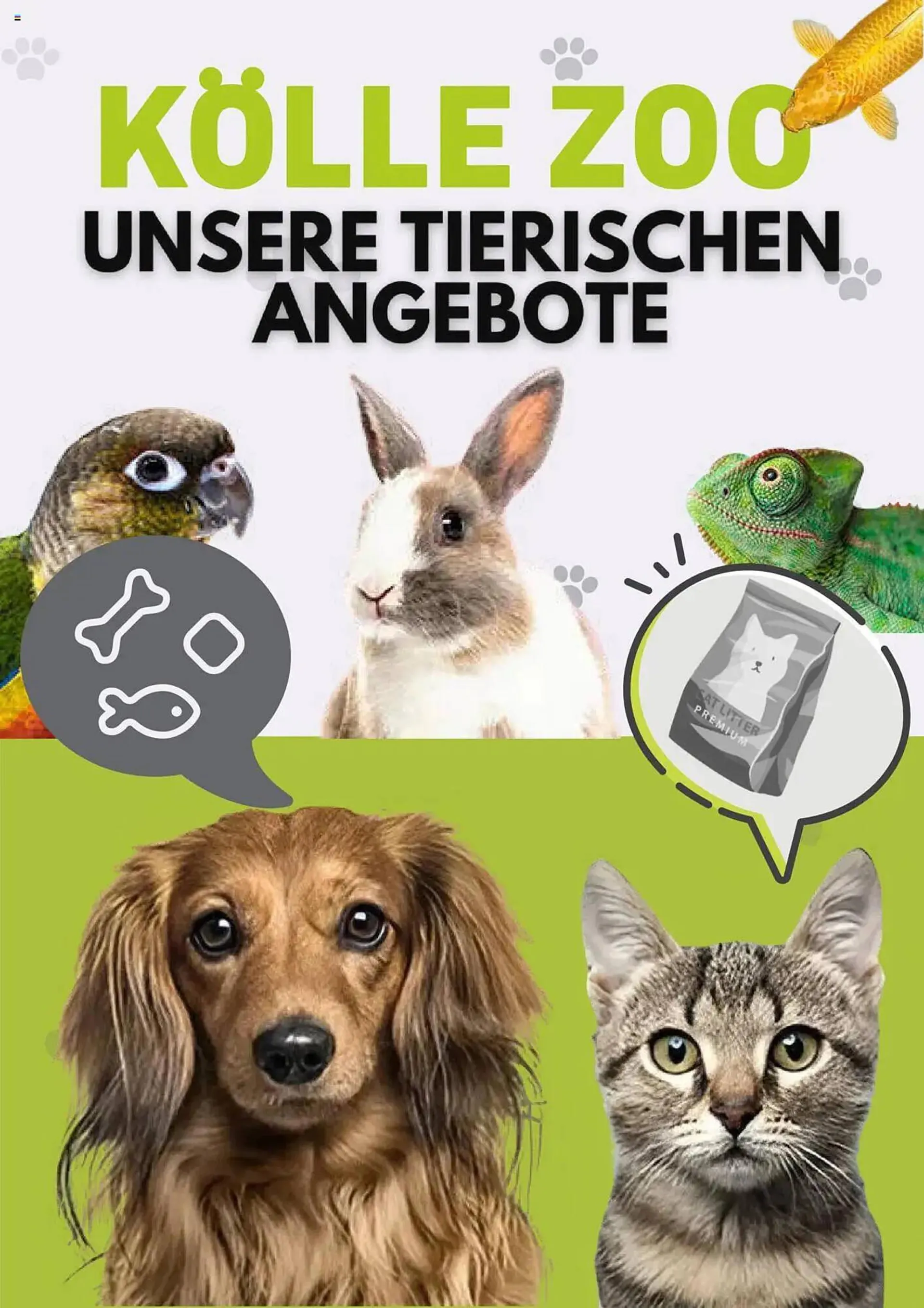 Kölle Zoo Prospekt von 7. August bis 8. September 2025 - Prospekt seite 1