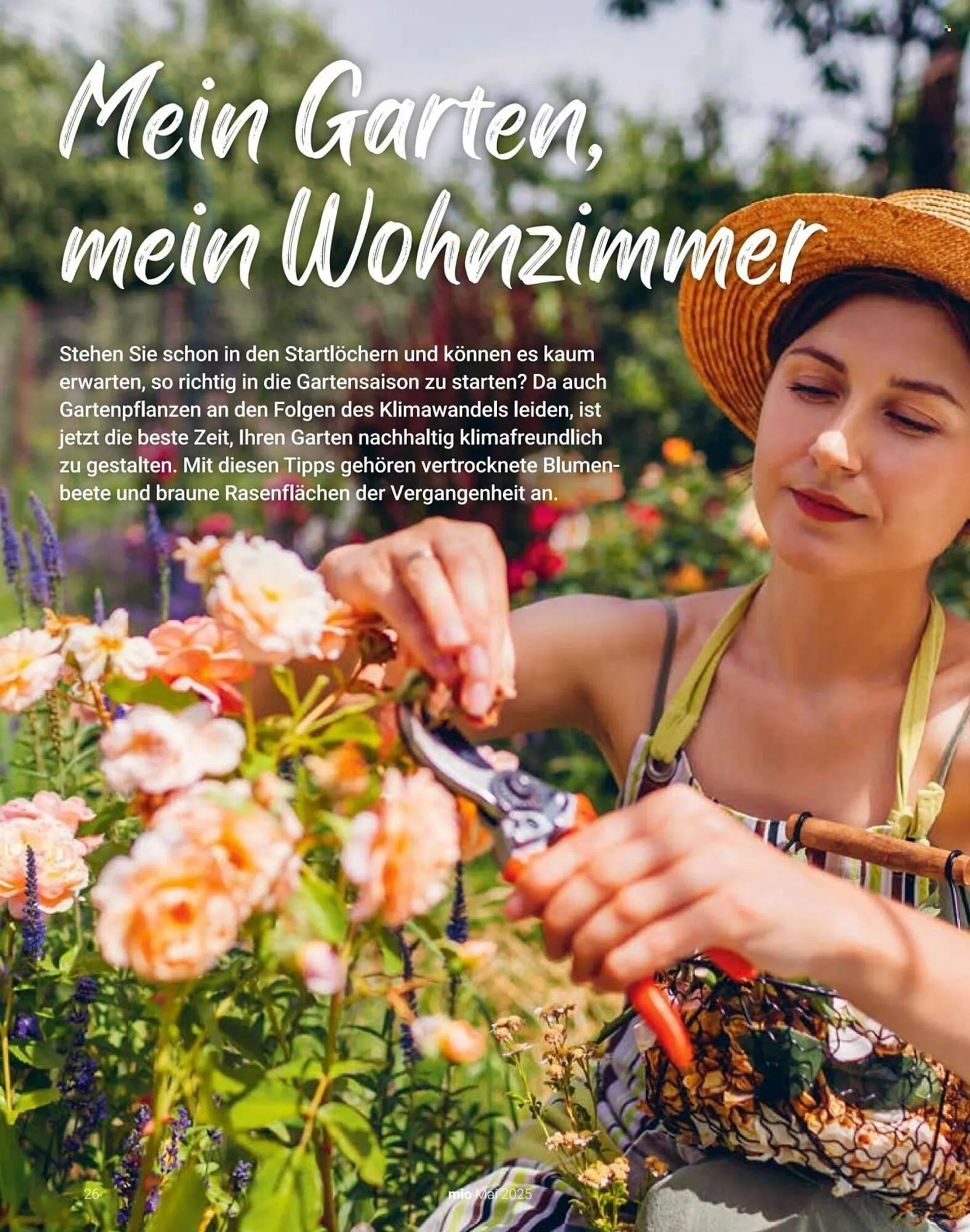 Globus Prospekt von 8. Mai bis 31. Mai 2025 - Prospekt seite 26