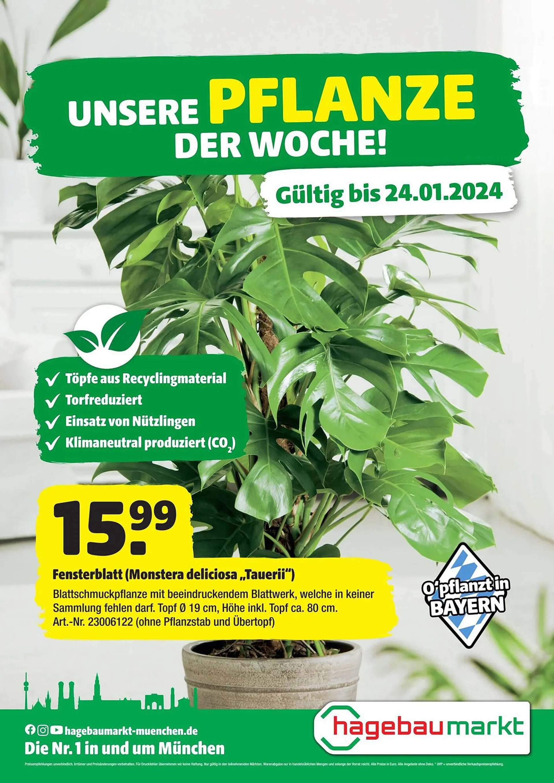 Hagebau Prospekt gültig bis 24. Januar 2024